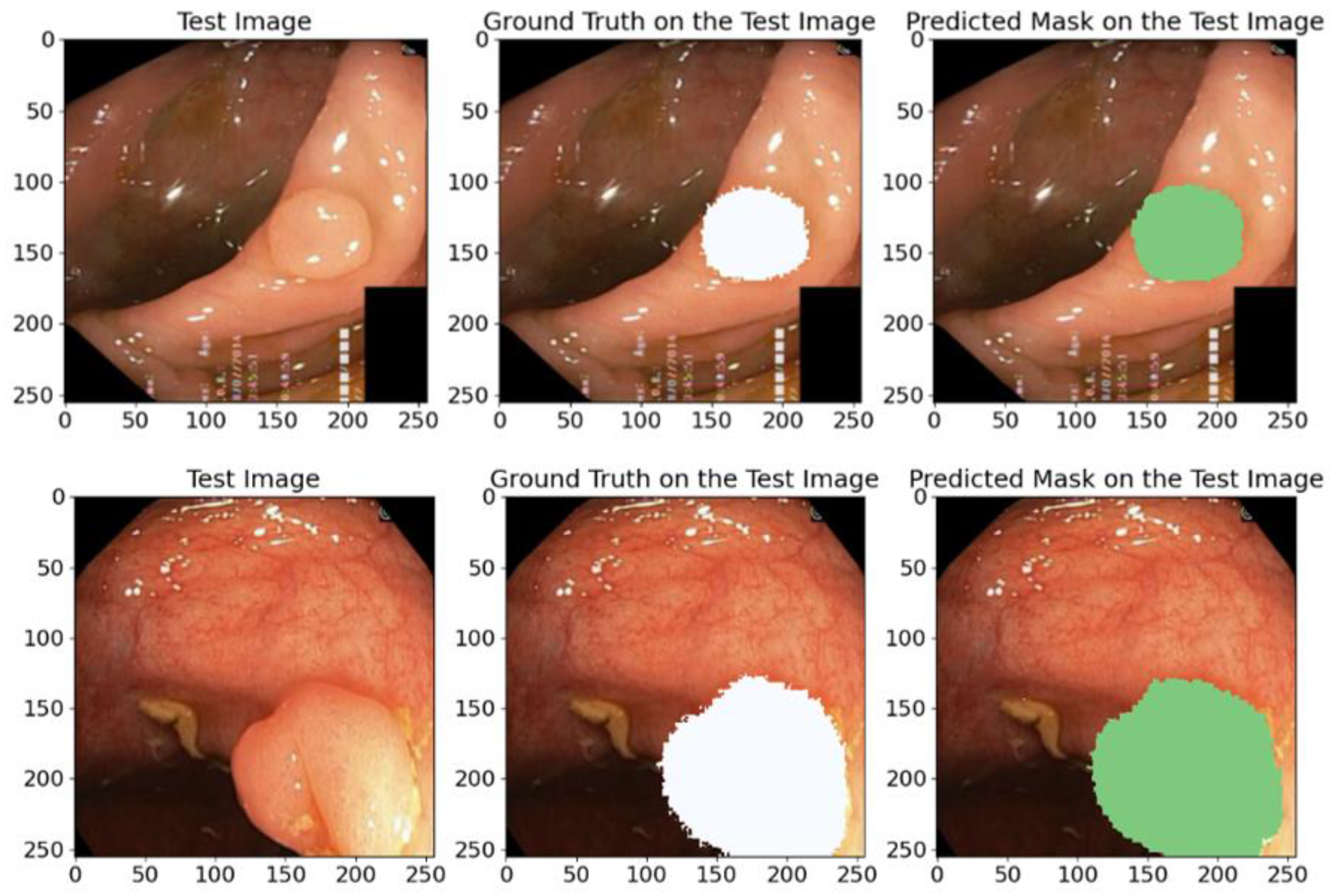 Bioengineering 12 00665 g013