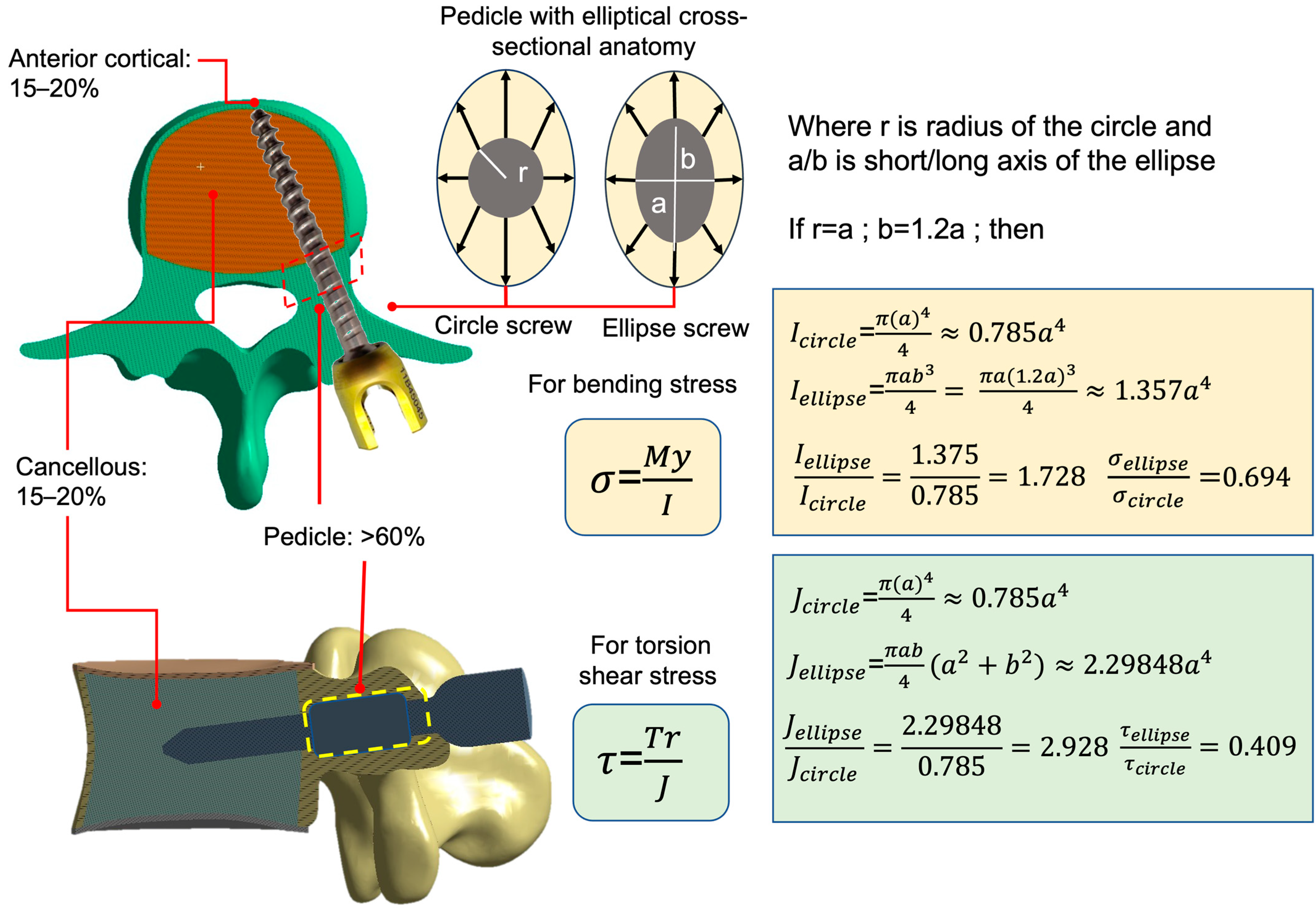 Bioengineering 12 00668 g001