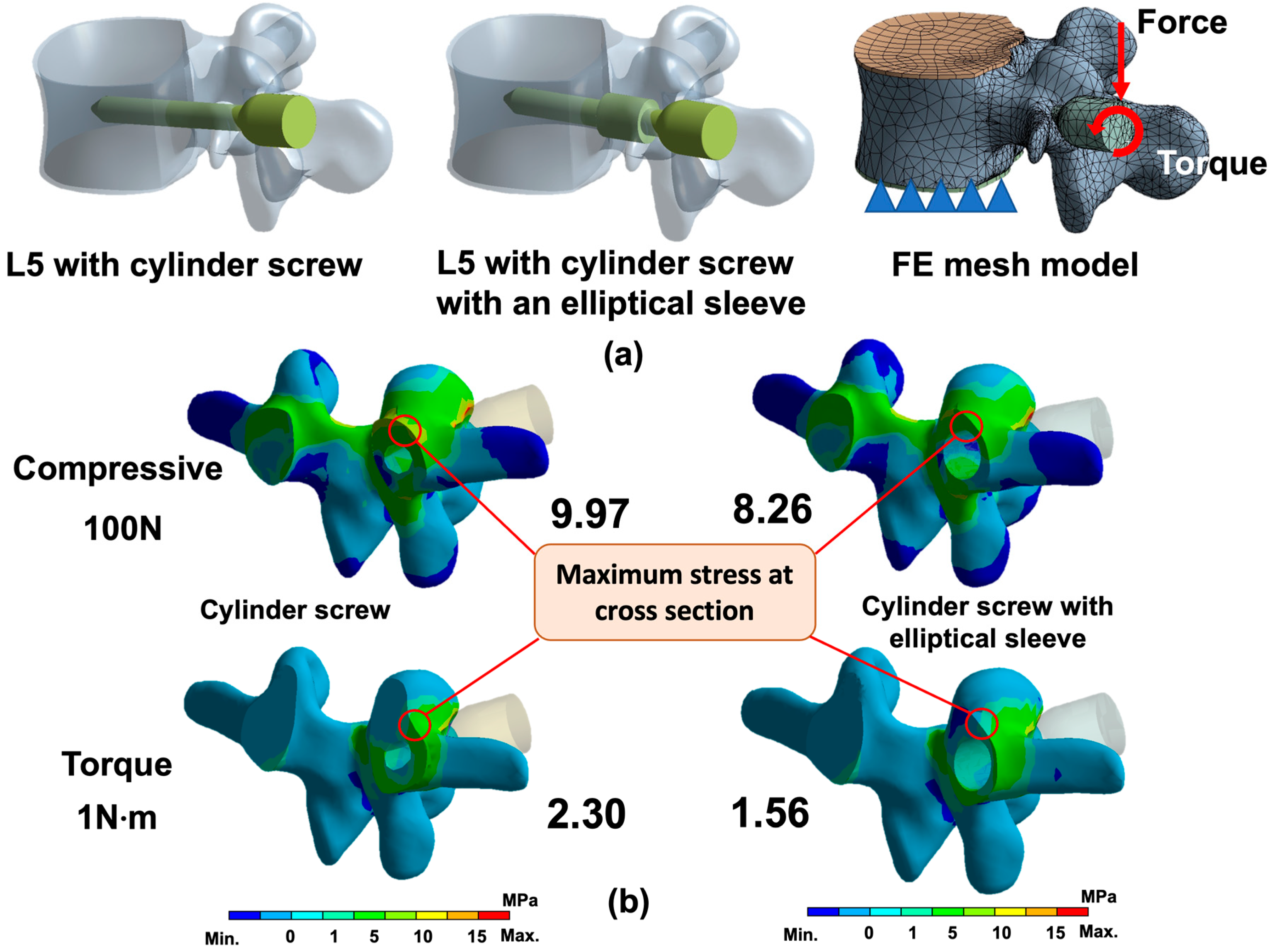 Bioengineering 12 00668 g002