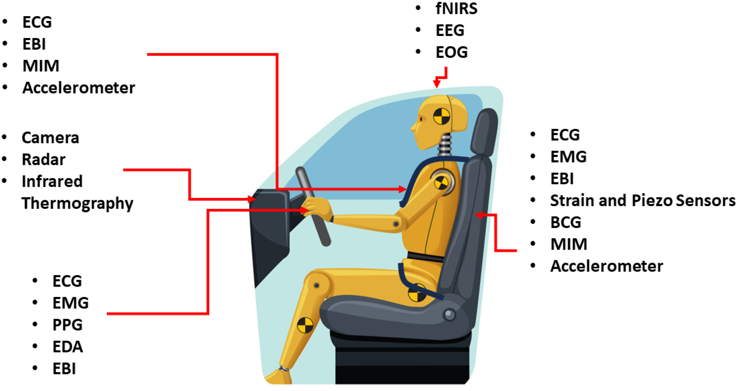 Bioengineering 12 00669 g002