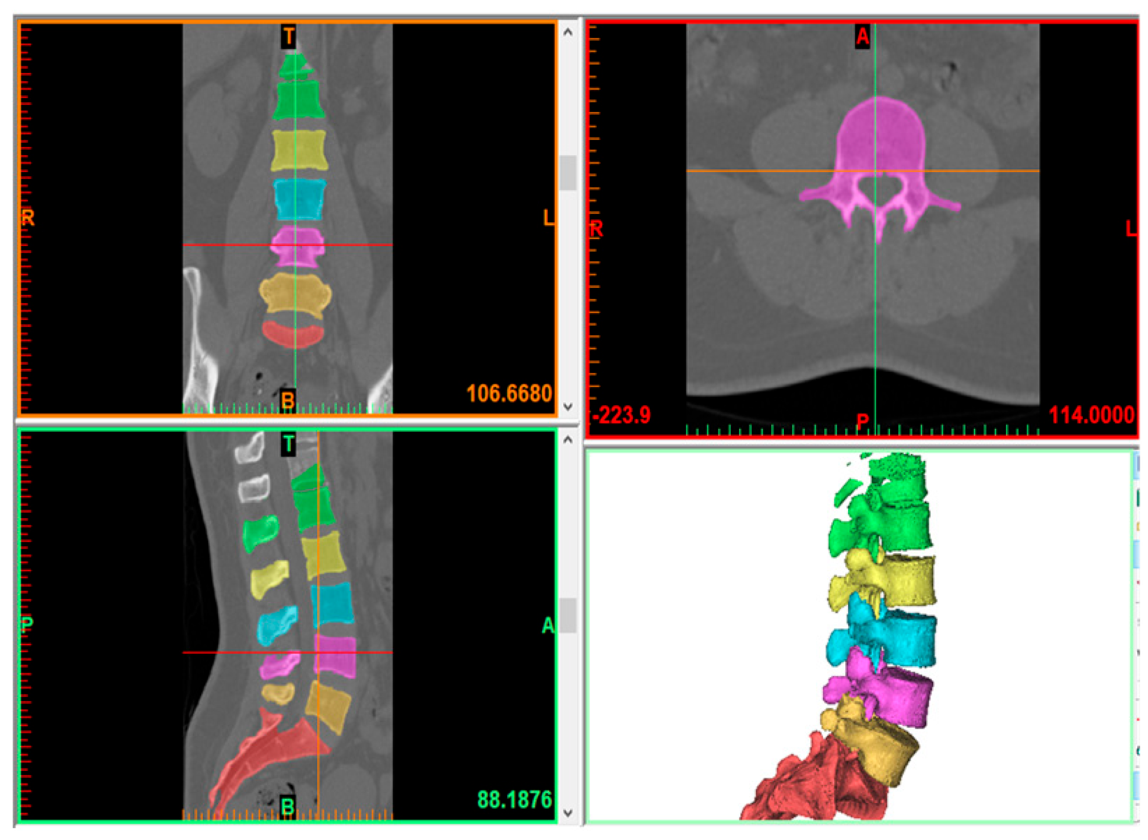 Bioengineering 12 00671 g001