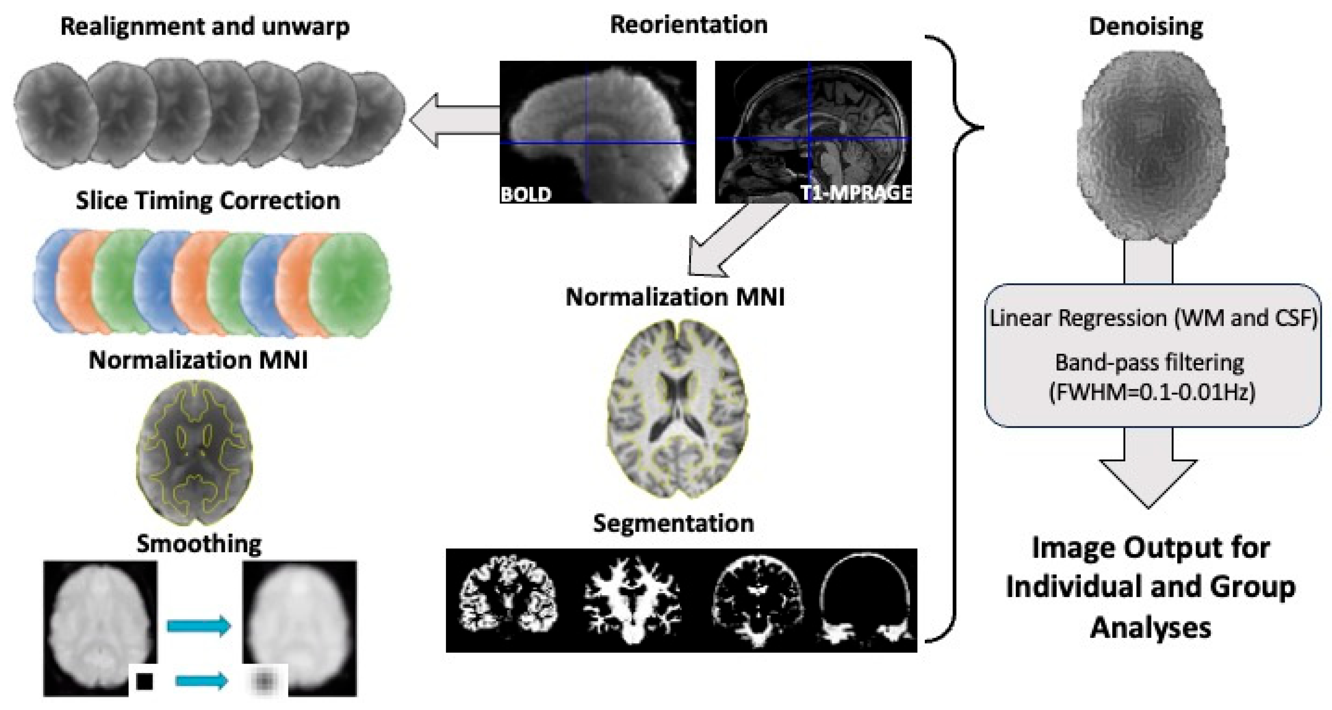 Bioengineering 12 00672 g002