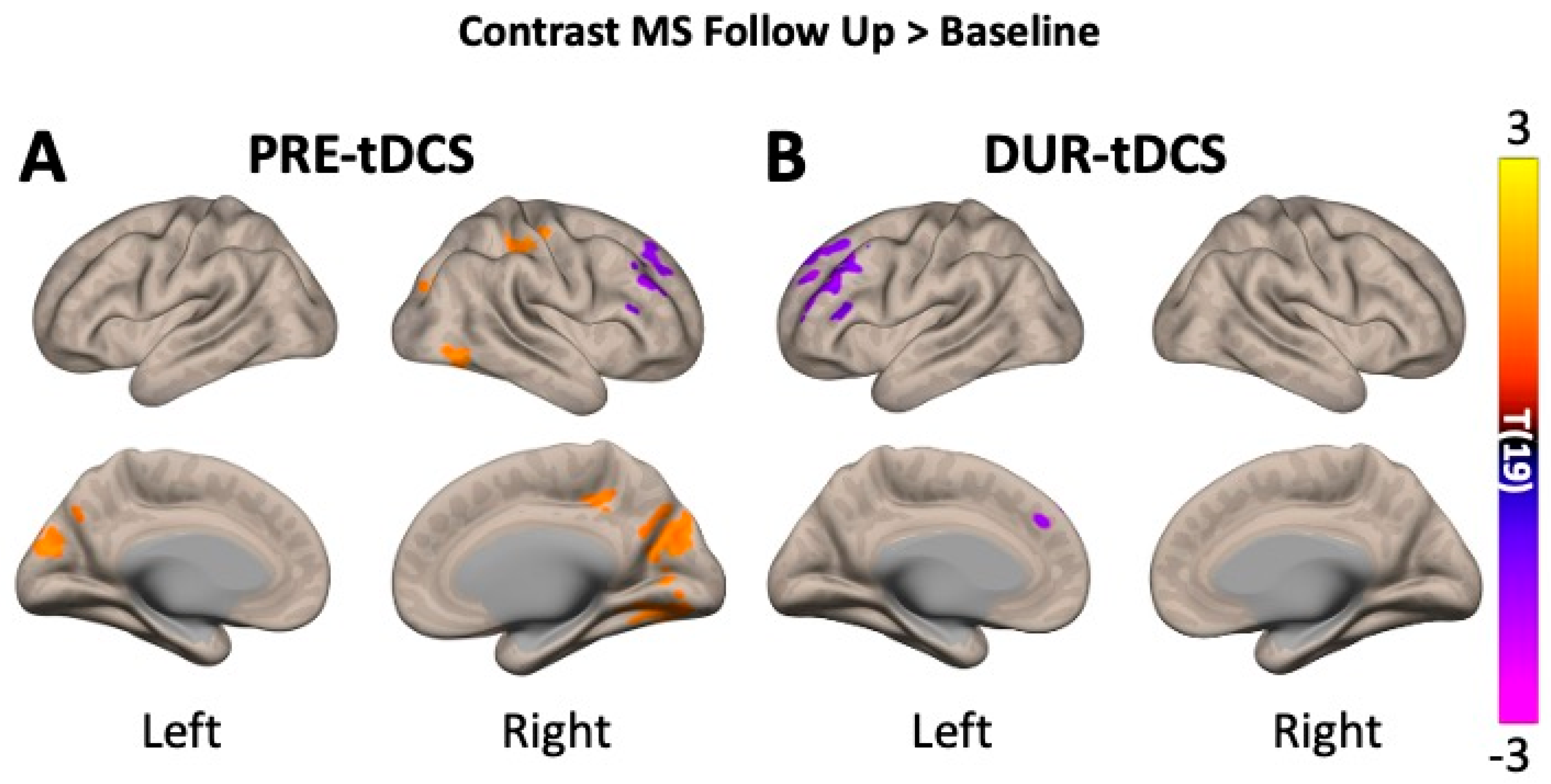 Bioengineering 12 00672 g004