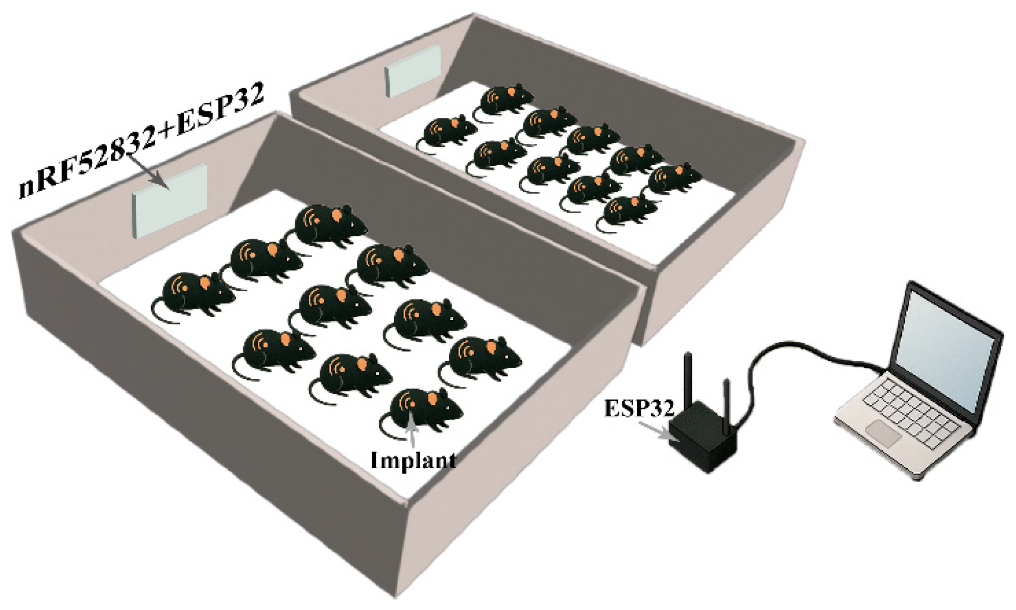 Bioengineering 12 00673 g001
