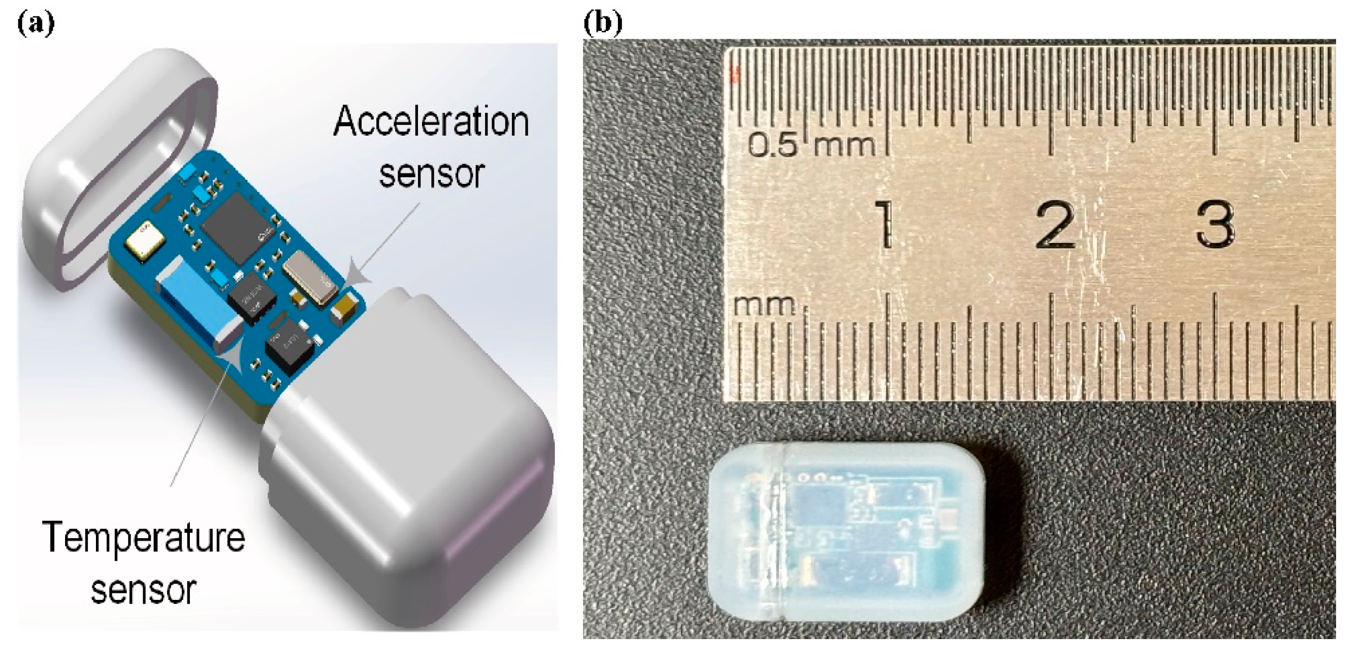 Bioengineering 12 00673 g002