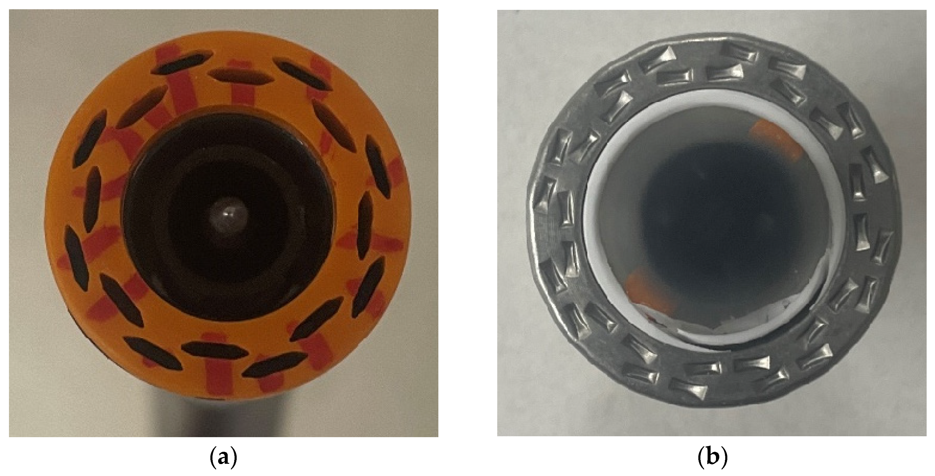Bioengineering 12 00676 g002