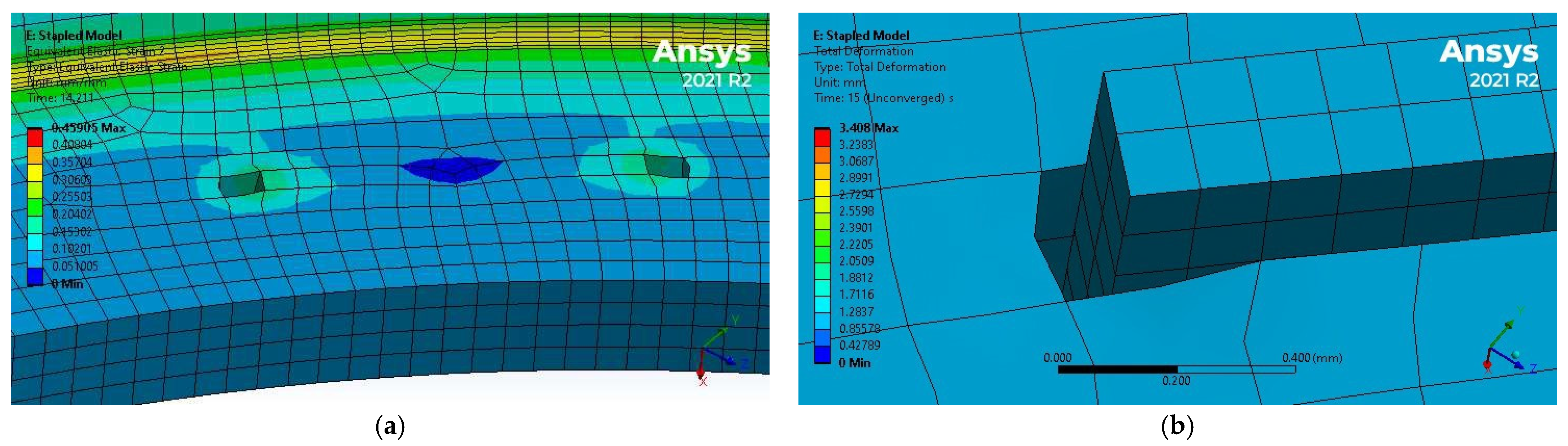 Bioengineering 12 00676 g019