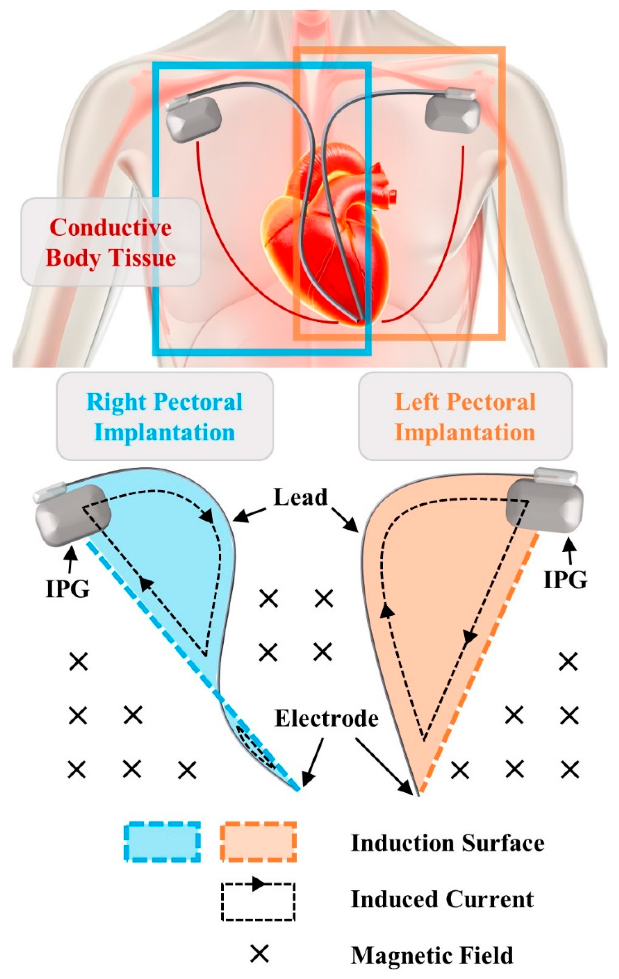 Bioengineering 12 00677 g001