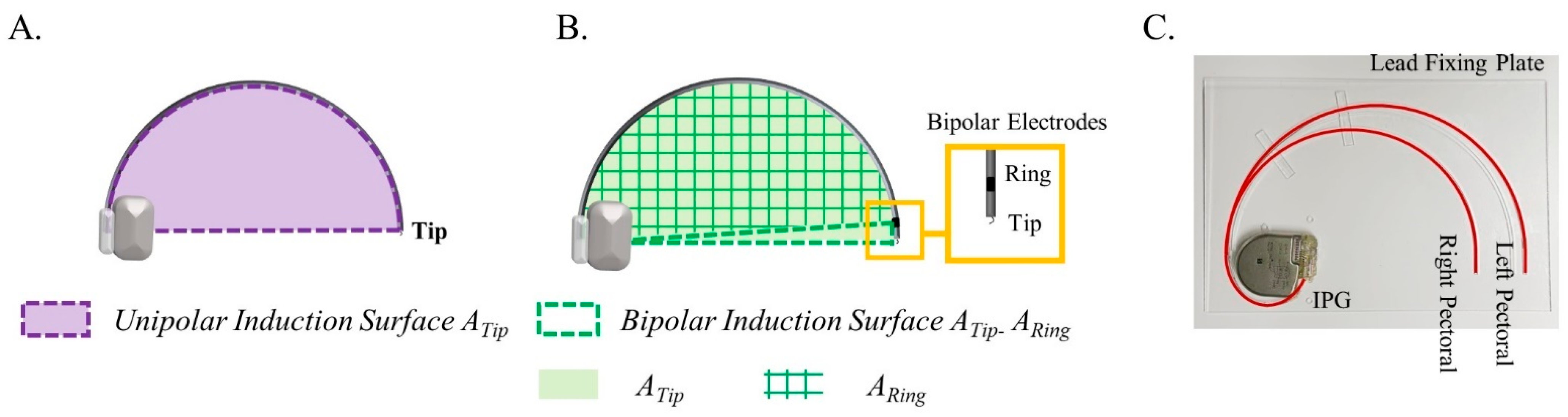 Bioengineering 12 00677 g002