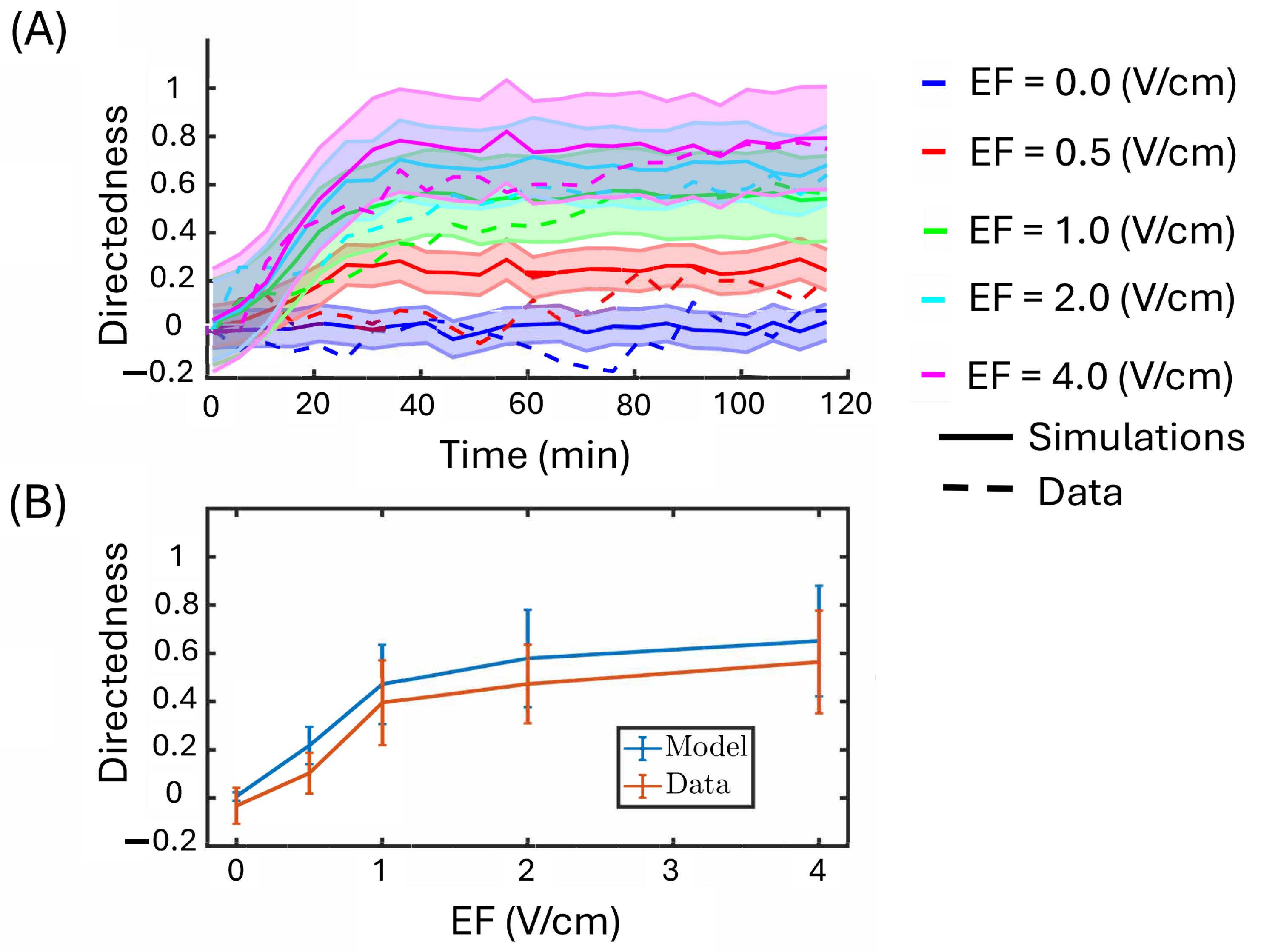 Bioengineering 12 00678 g006