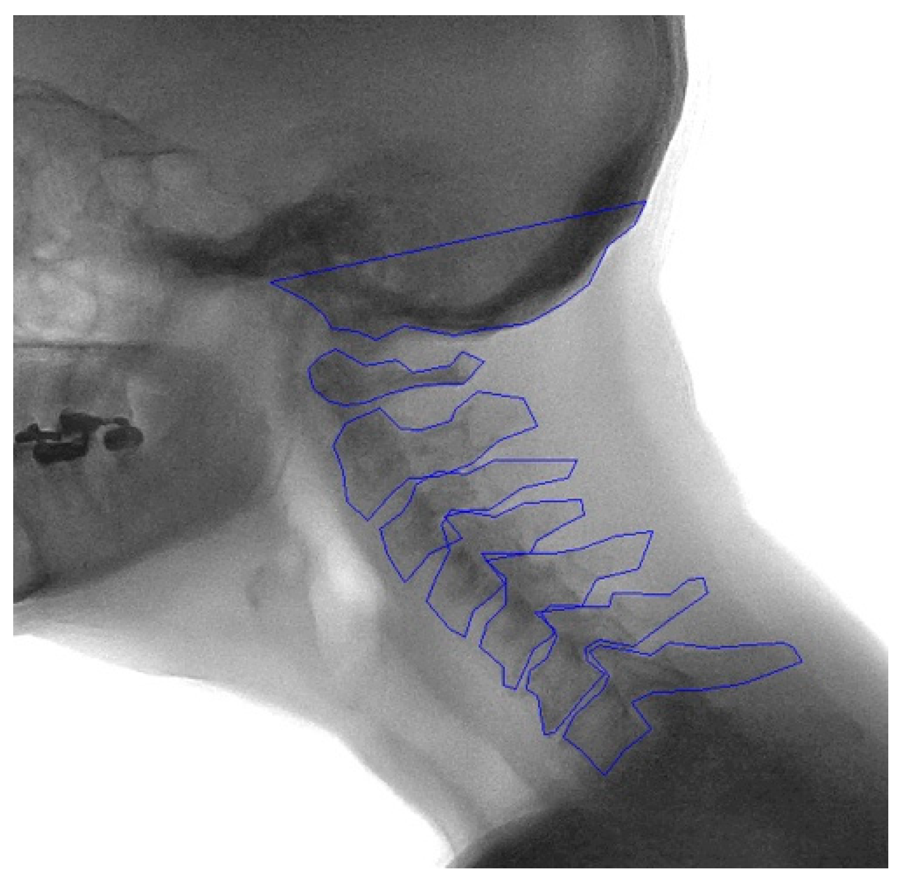 Bioengineering 12 00679 g0a1