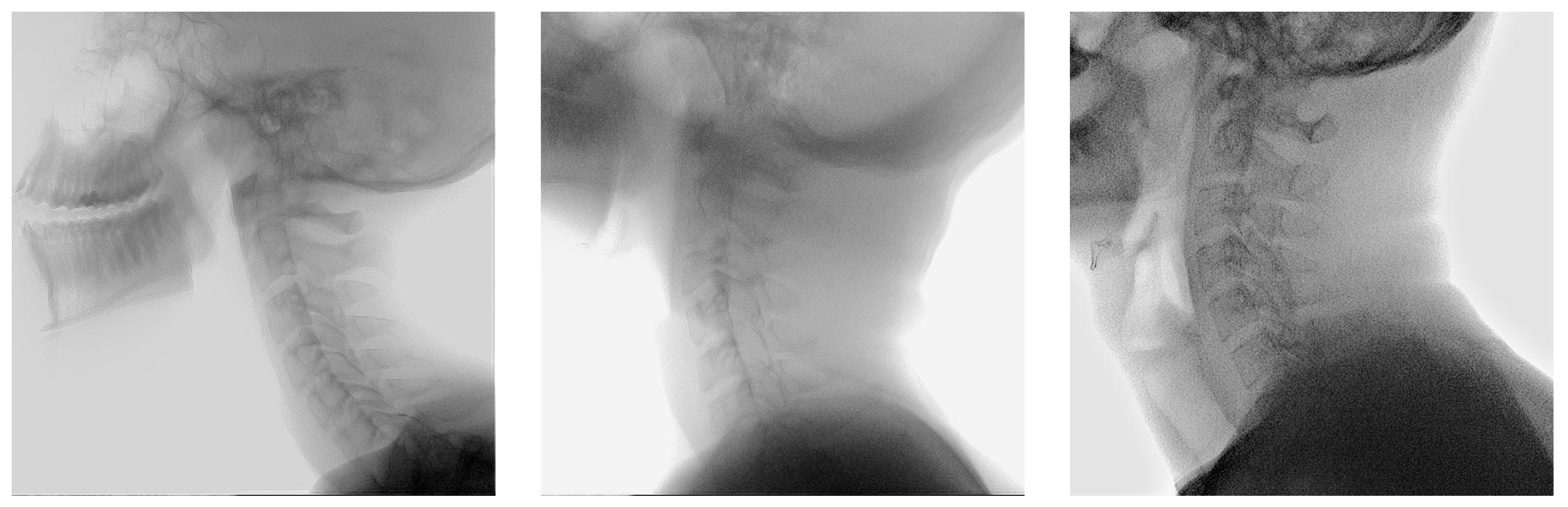 Bioengineering 12 00679 g0a8