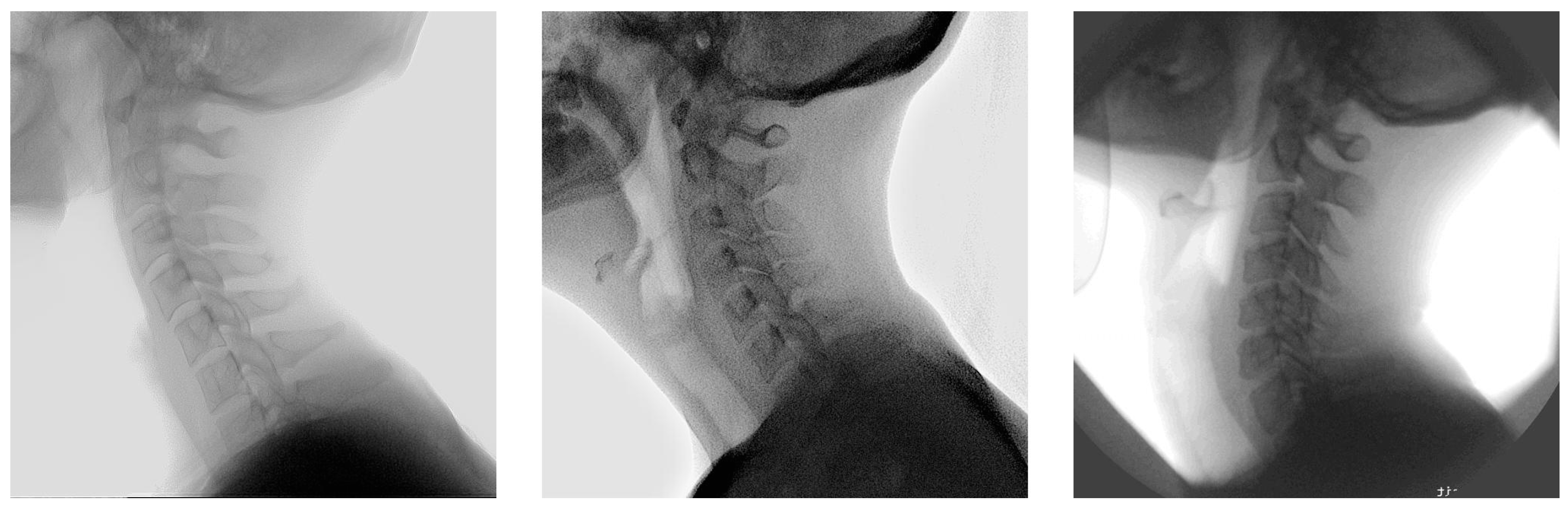 Bioengineering 12 00679 g0a9