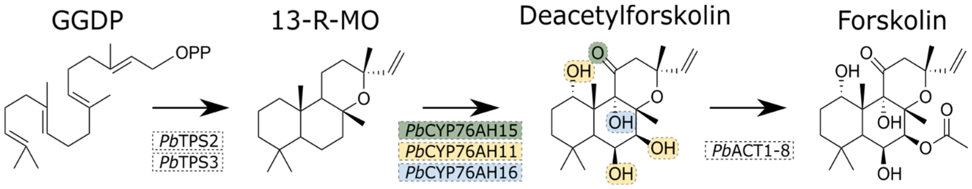 Bioengineering 12 00683 g001