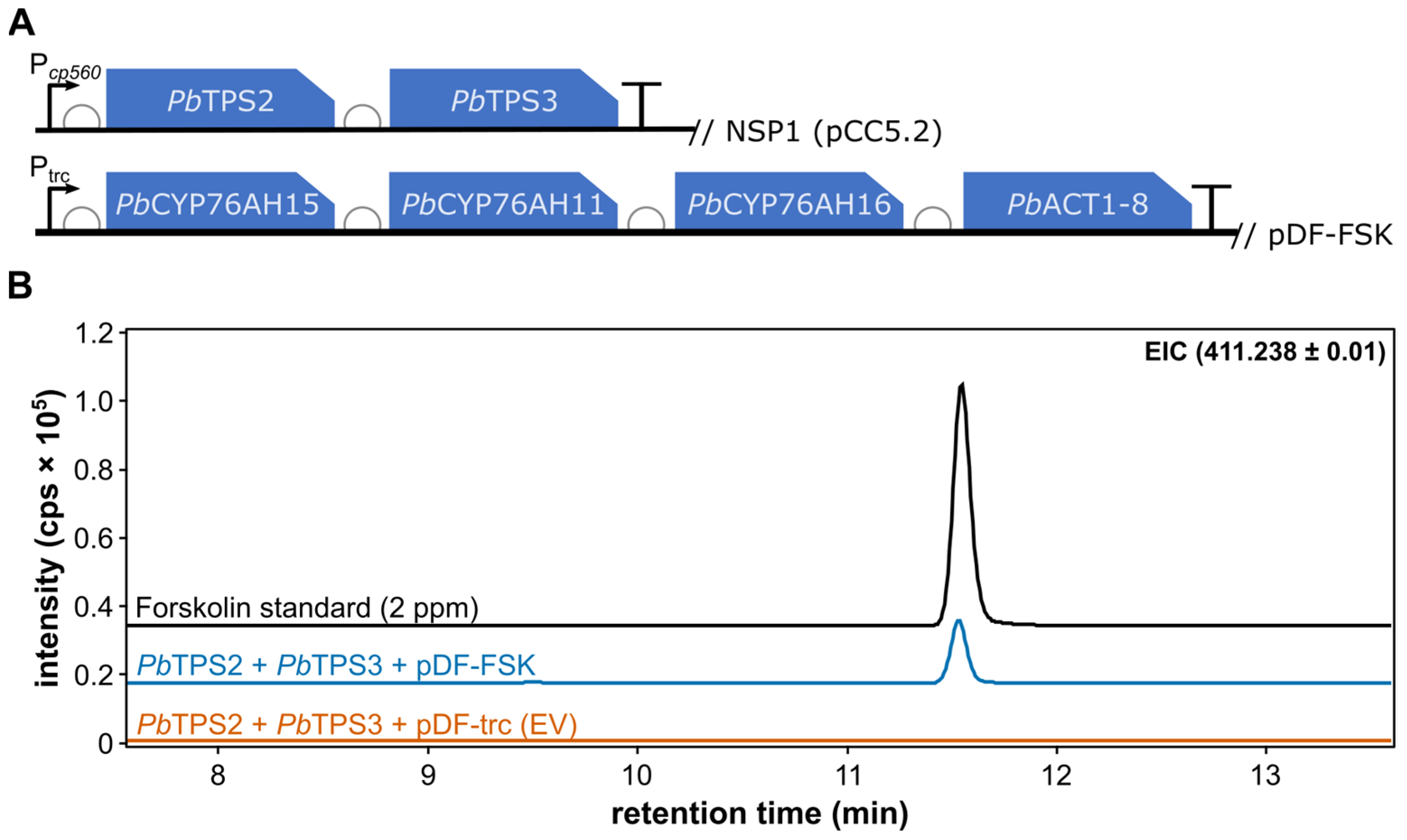 Bioengineering 12 00683 g002