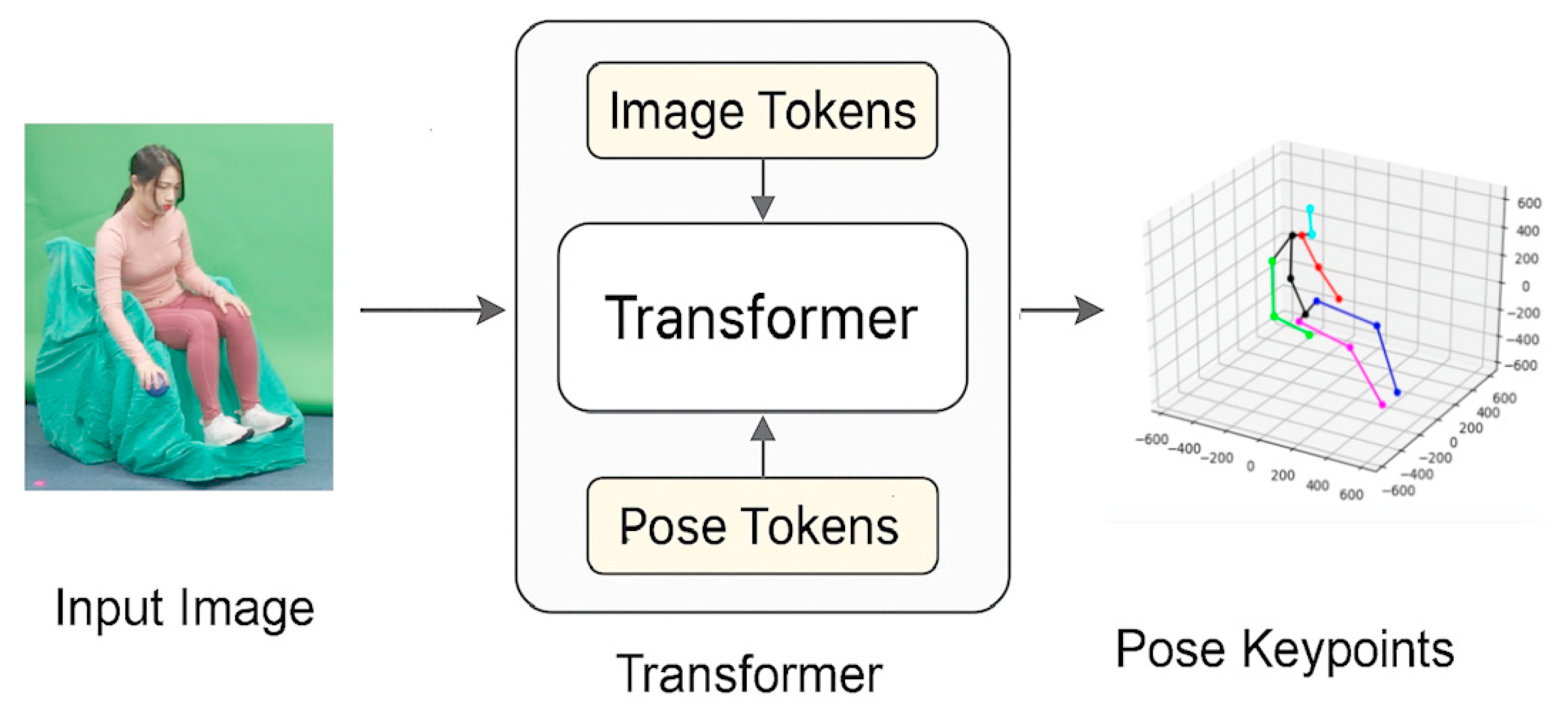 Bioengineering 12 00684 g003