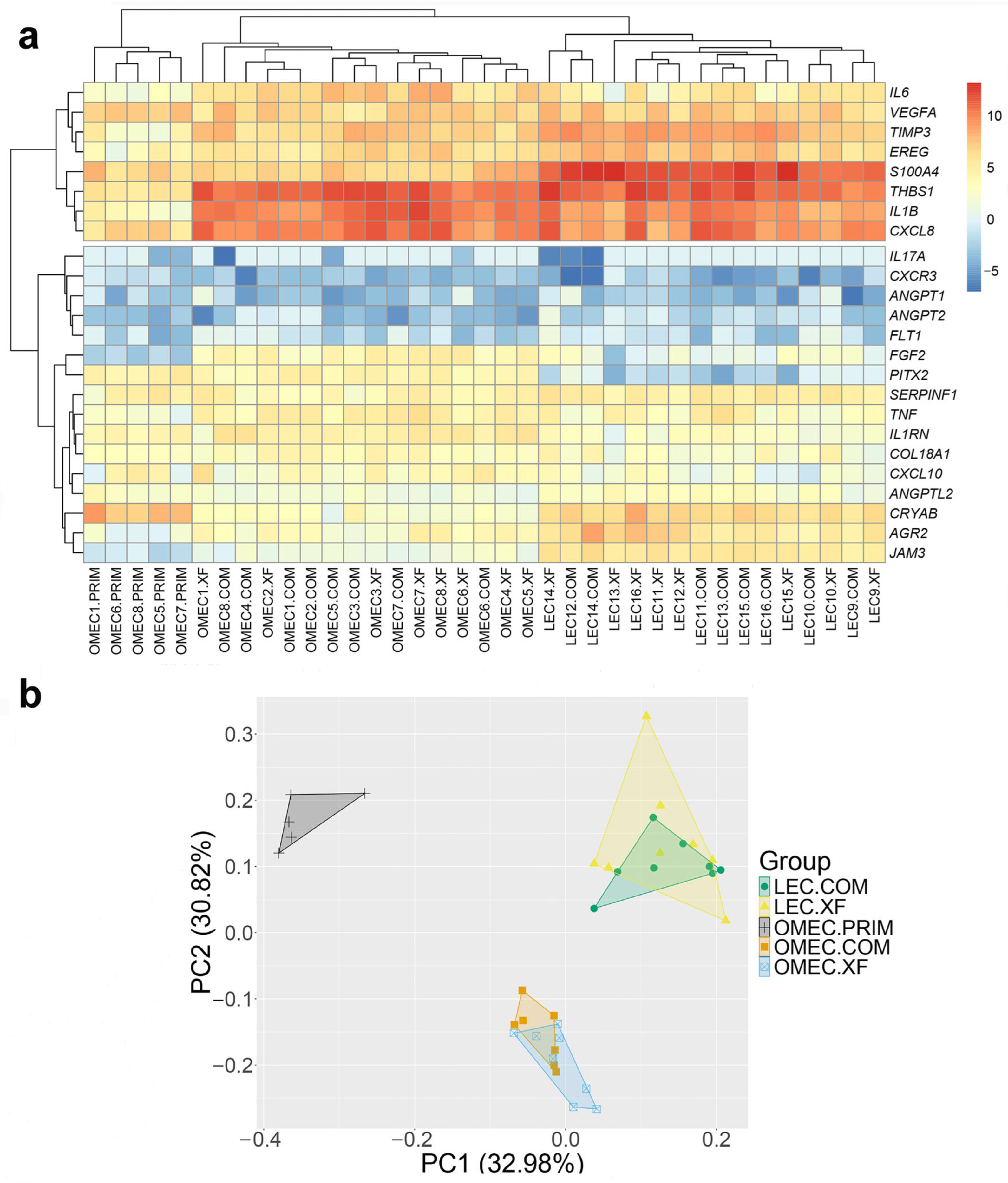 Bioengineering 12 00688 g002