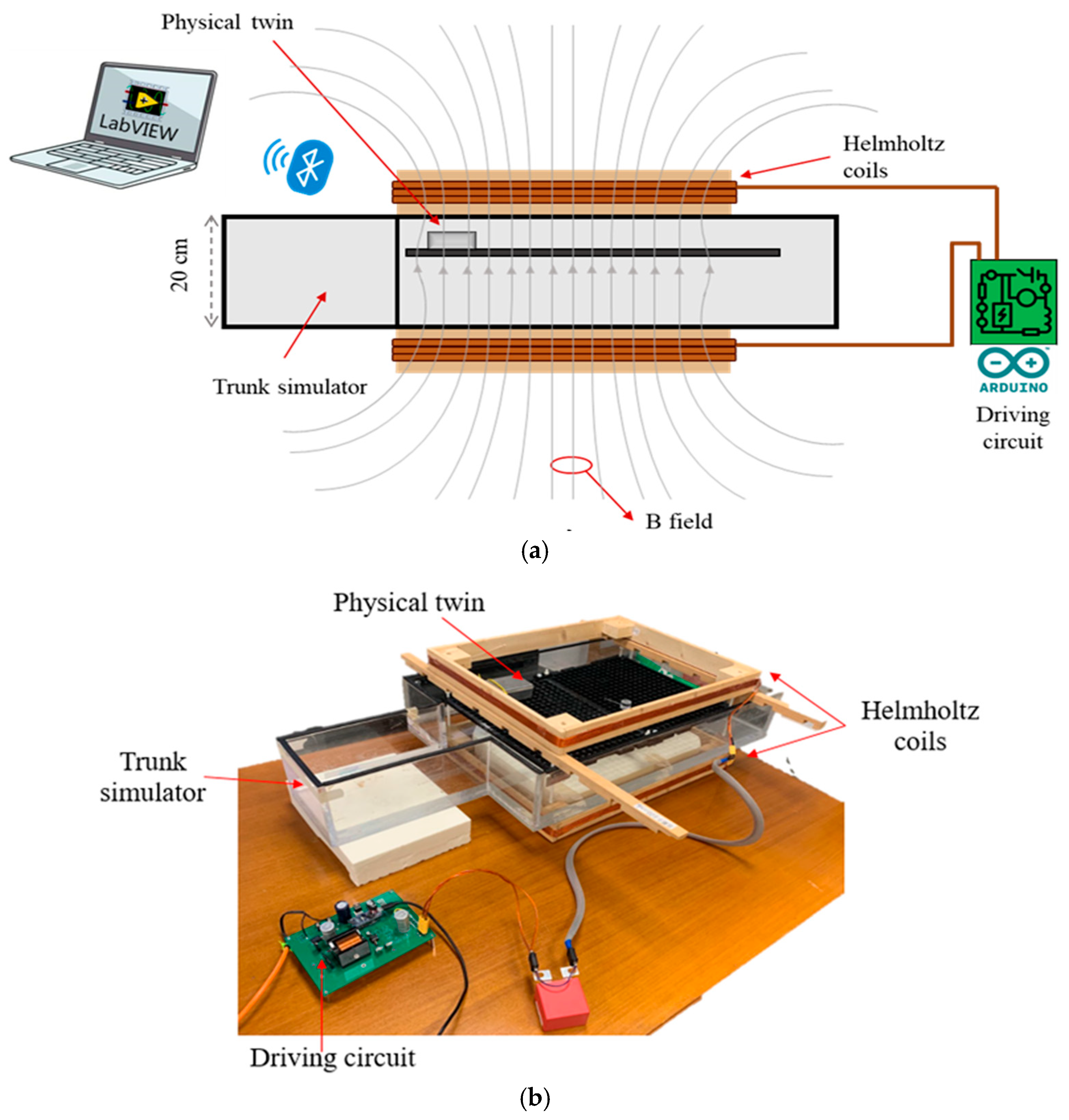 Bioengineering 12 00689 g003
