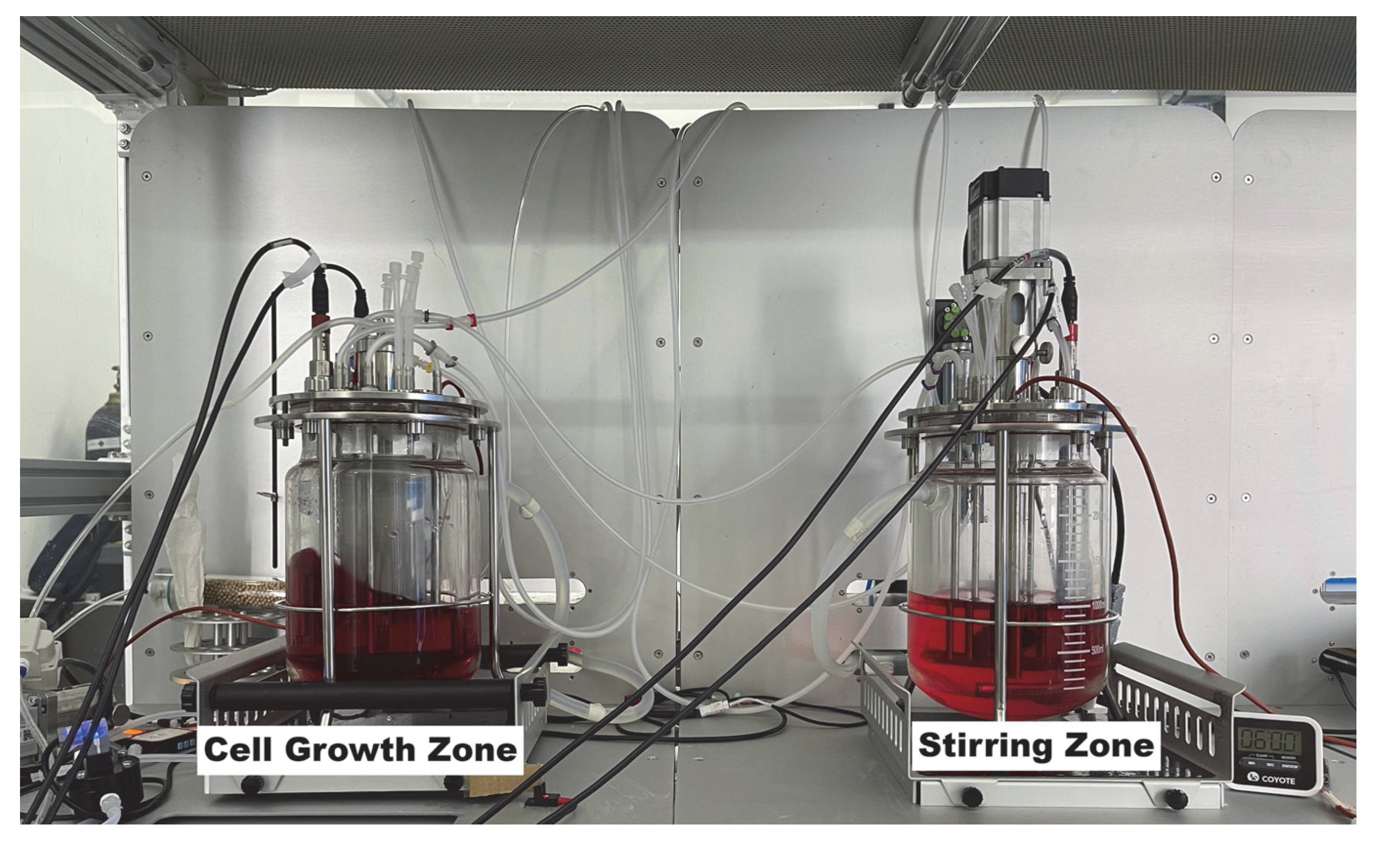 Bioengineering 12 00690 g003