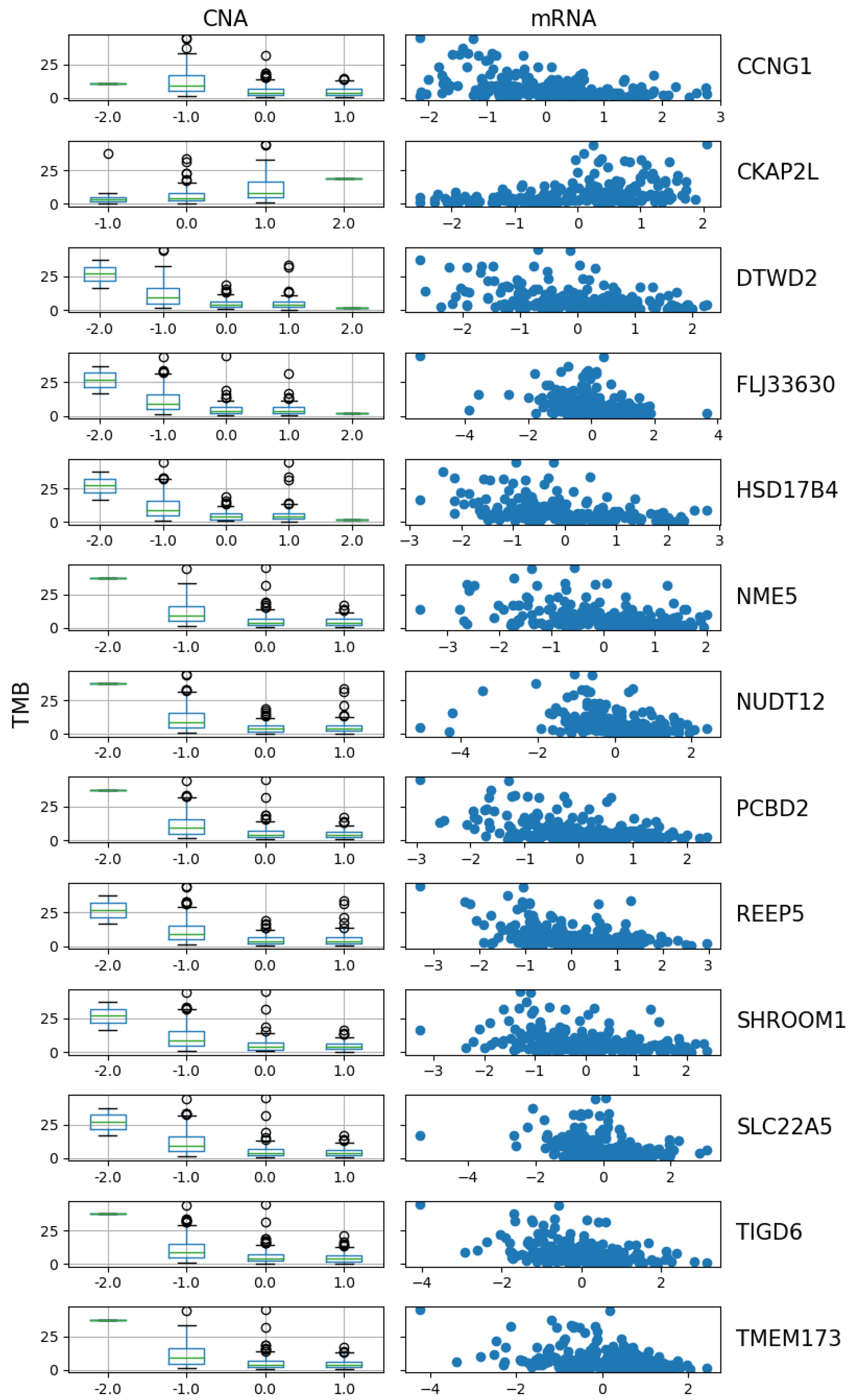 Bioengineering 12 00694 g011