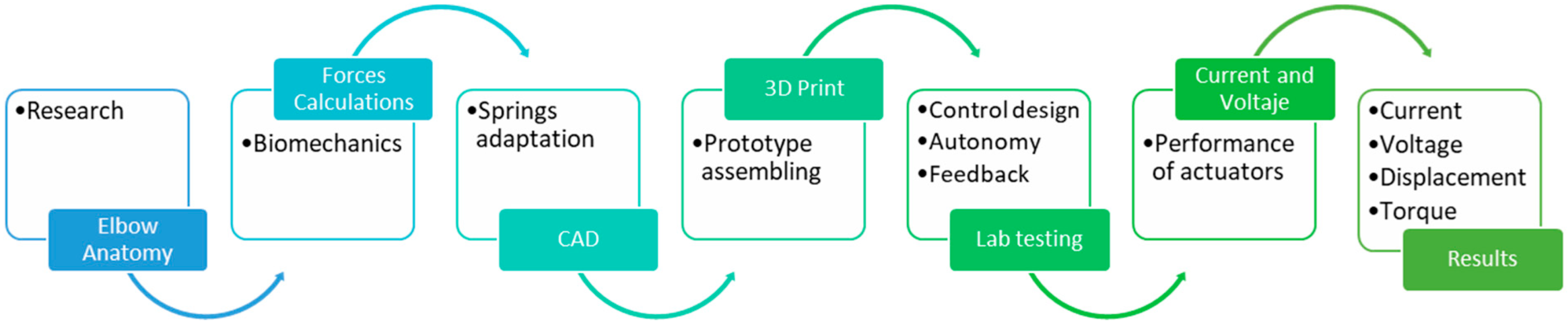 Bioengineering 12 00695 g001