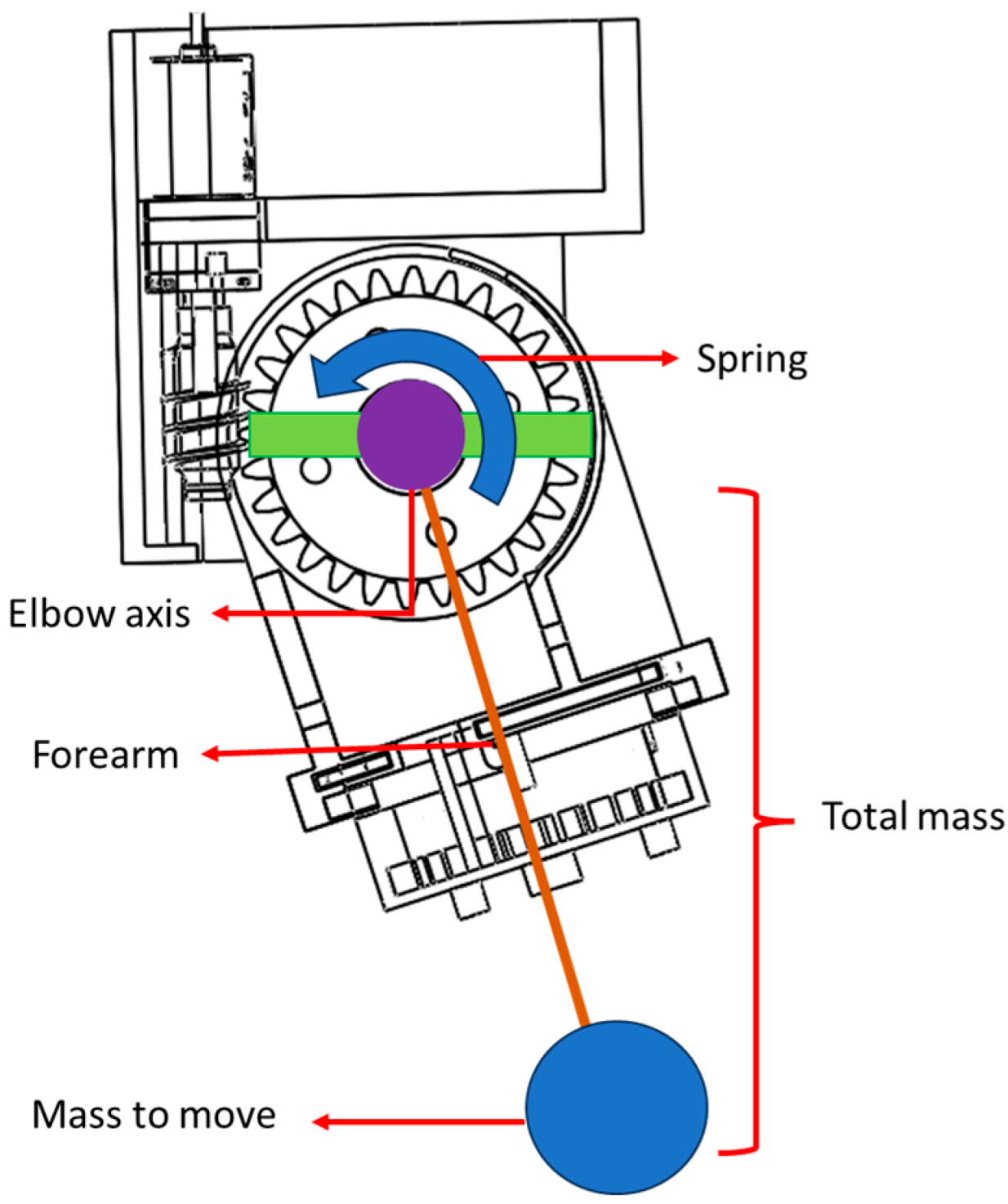 Bioengineering 12 00695 g004