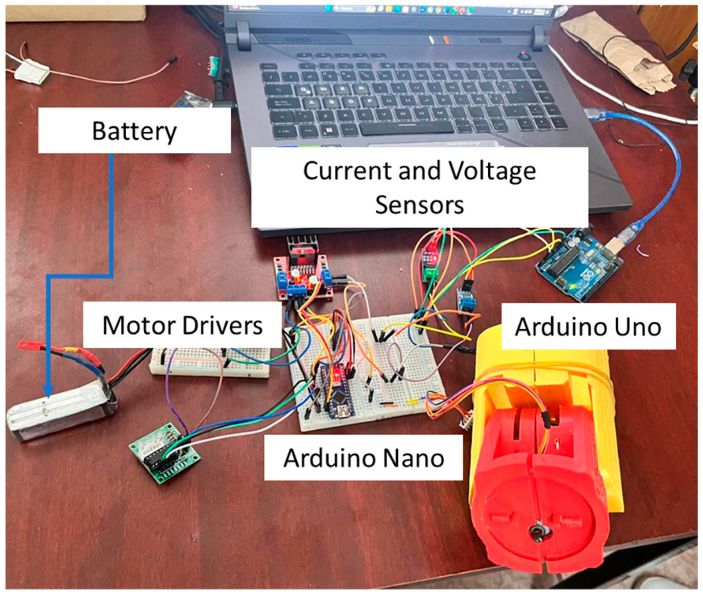 Bioengineering 12 00695 g006