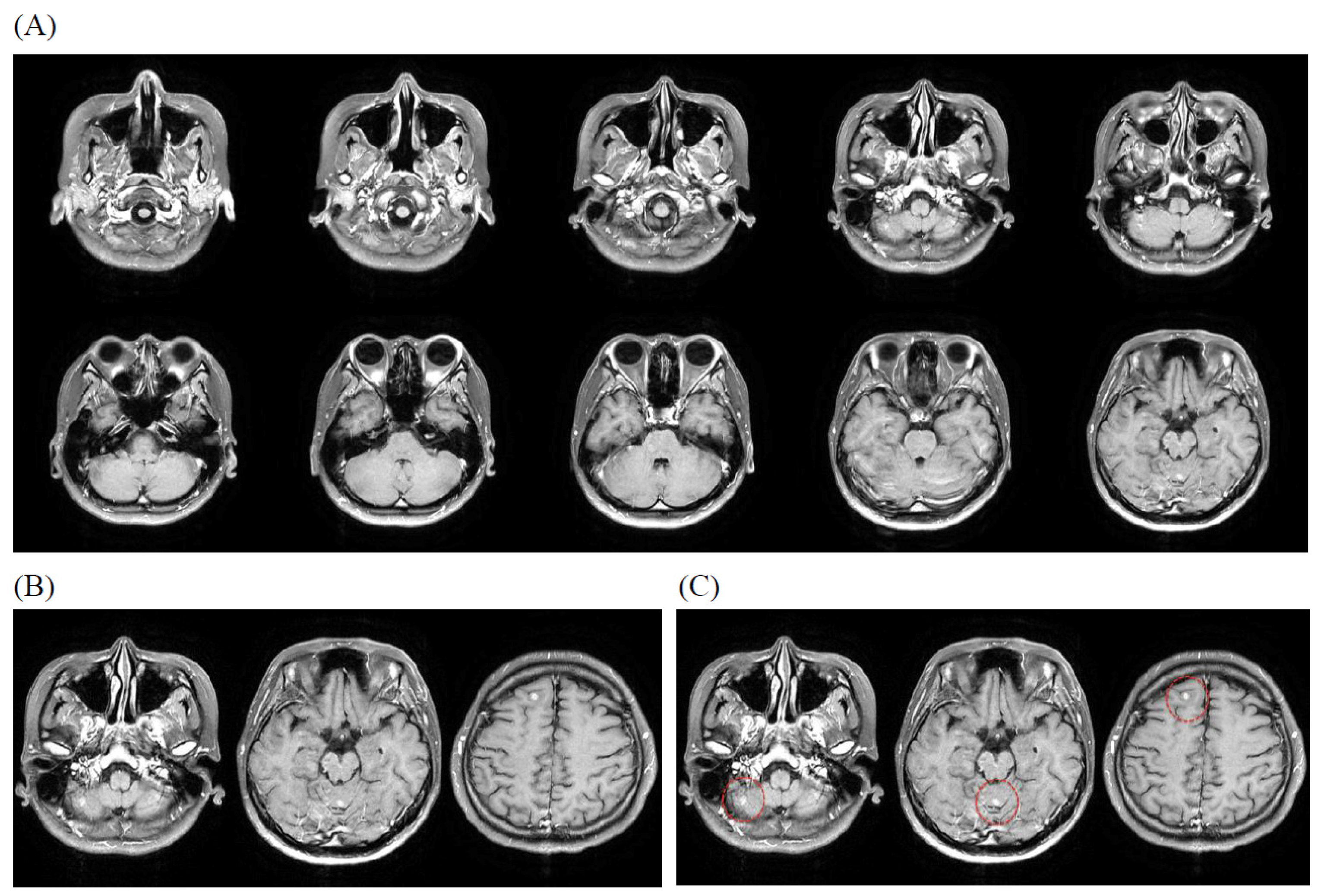 Bioengineering 12 00698 g001