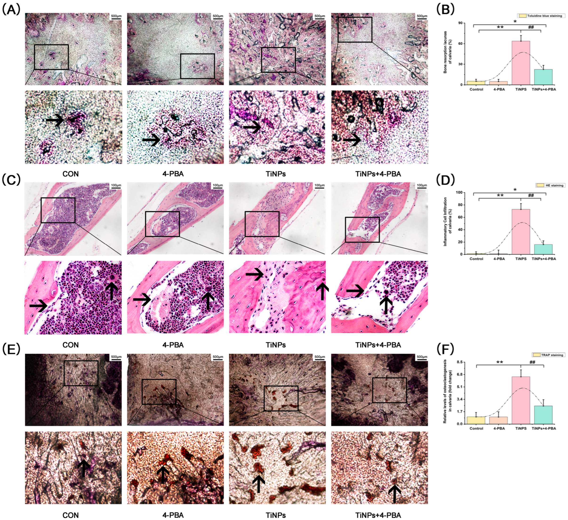 Bioengineering 12 00701 g001