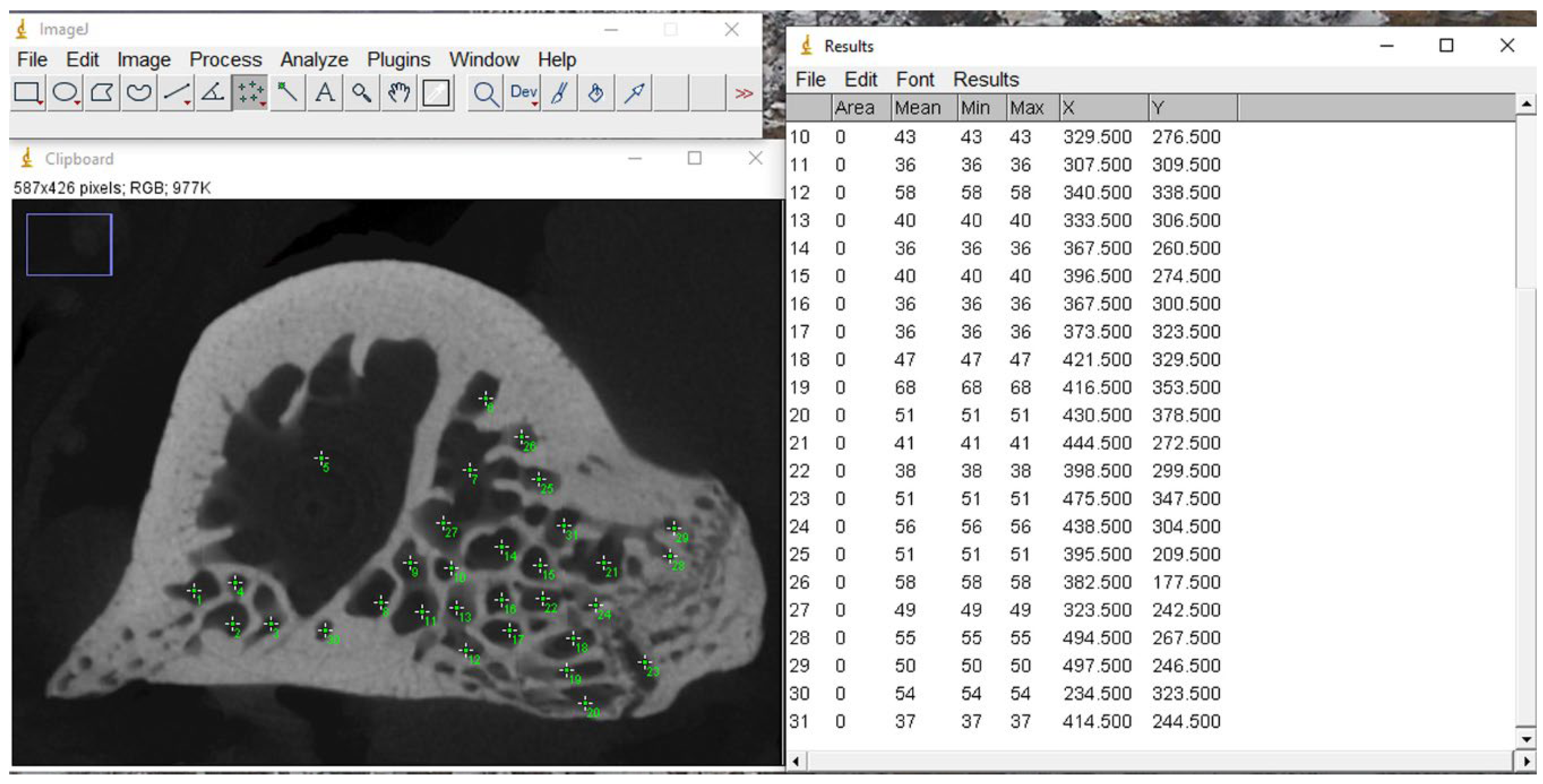 Bioengineering 12 00702 g003