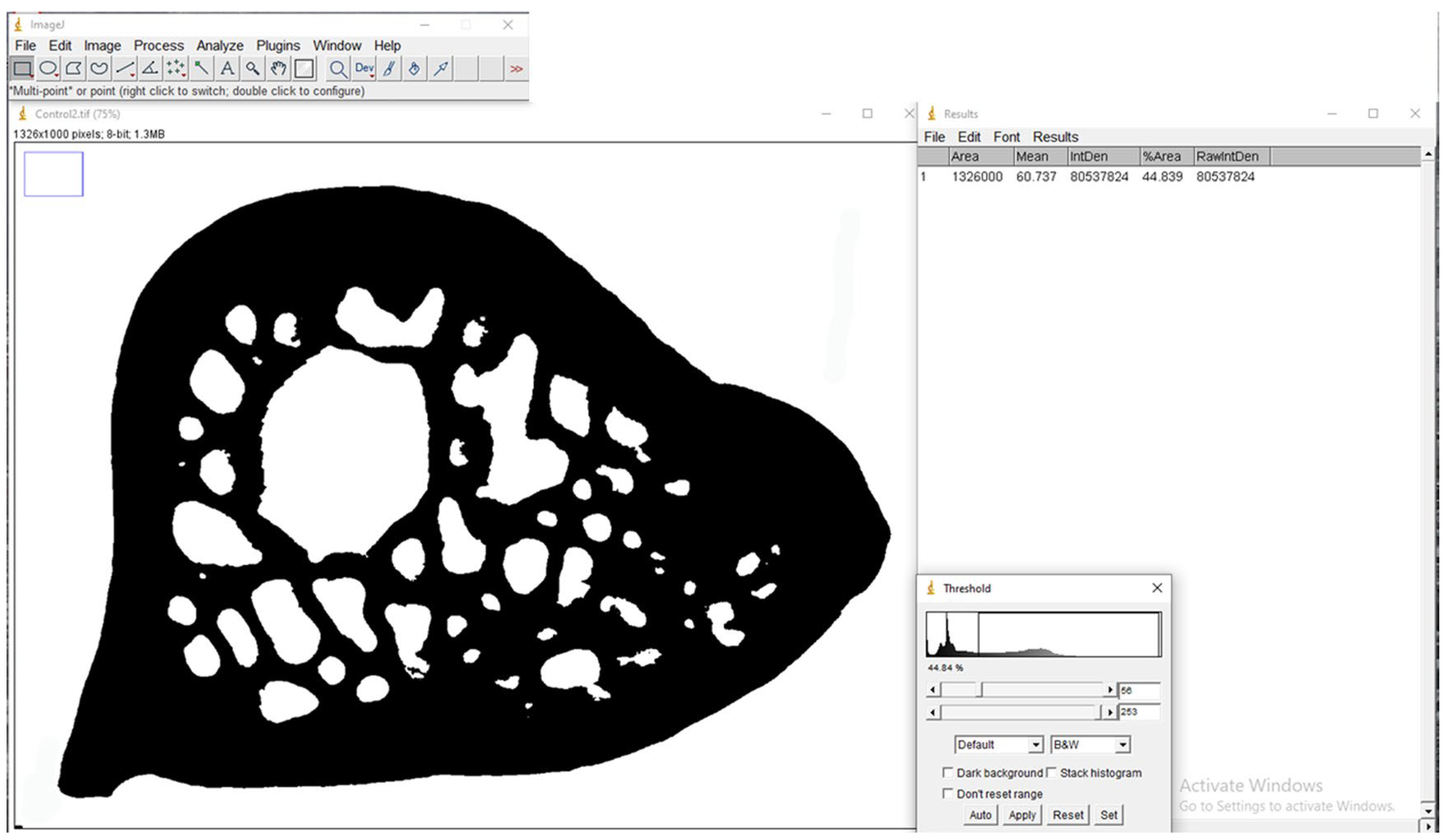 Bioengineering 12 00702 g004