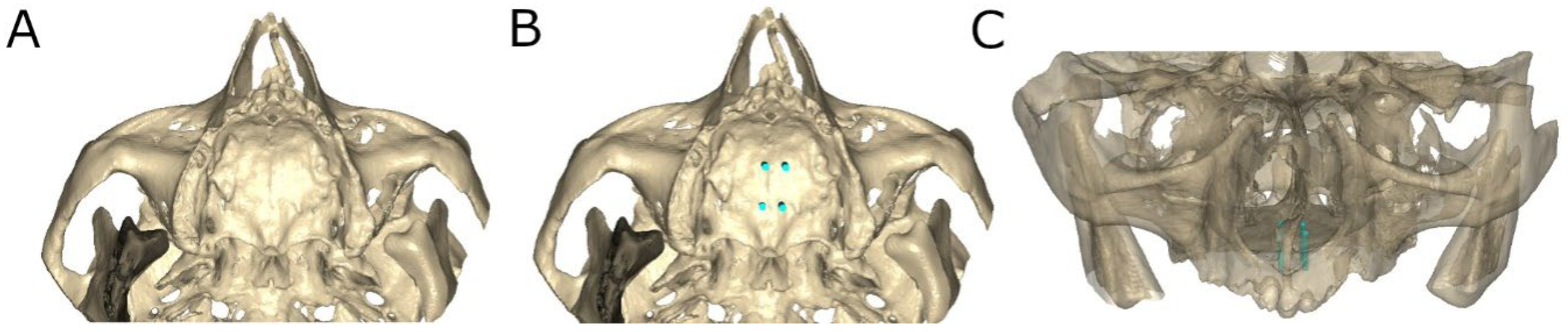 Bioengineering 12 00703 g003