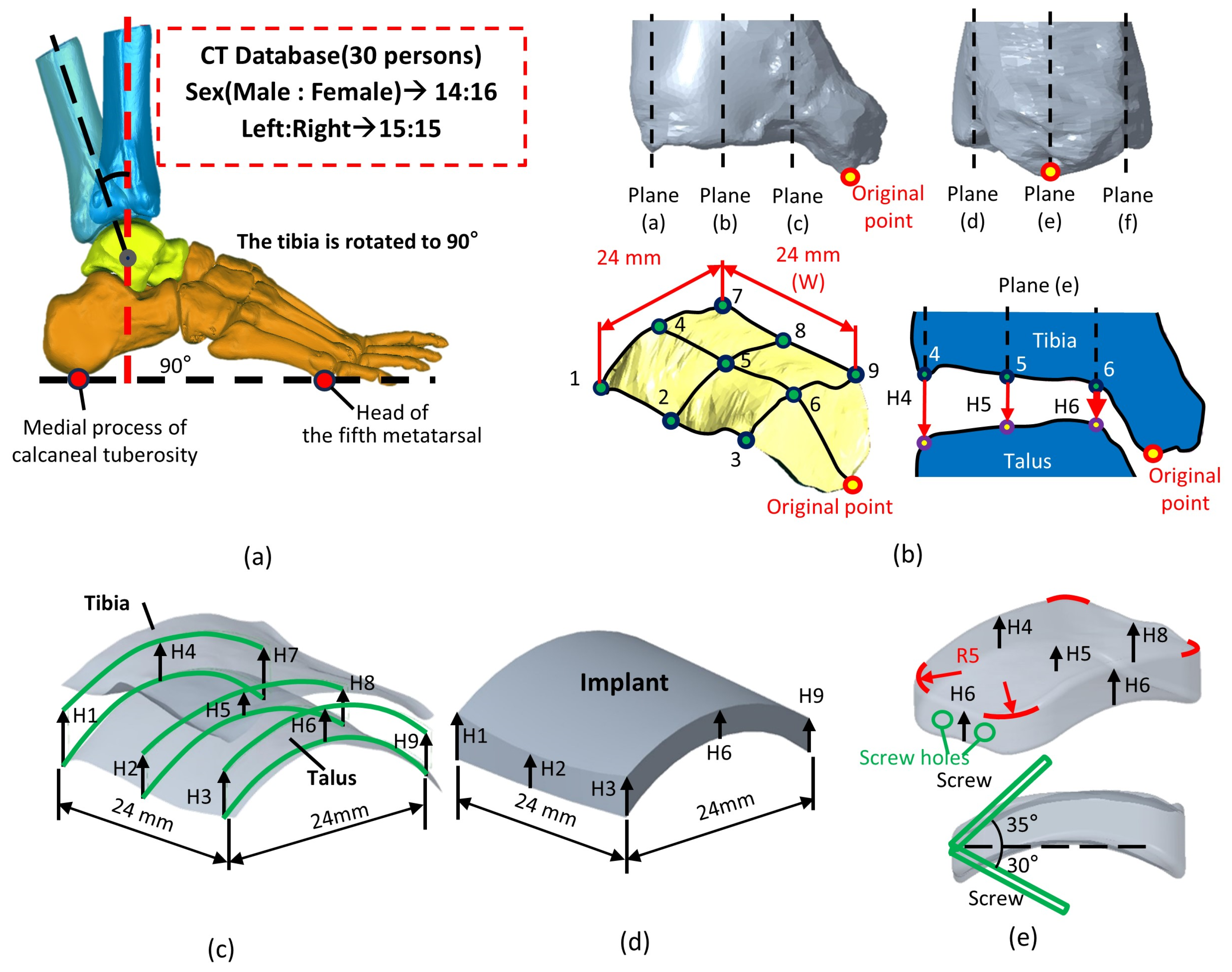 Bioengineering 12 00705 g002