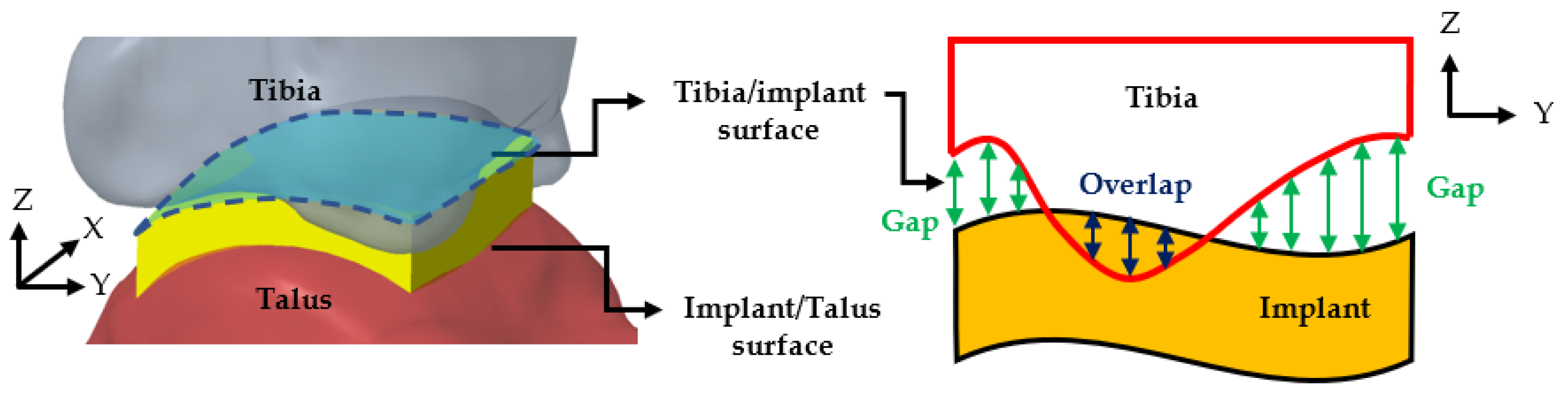 Bioengineering 12 00705 g003