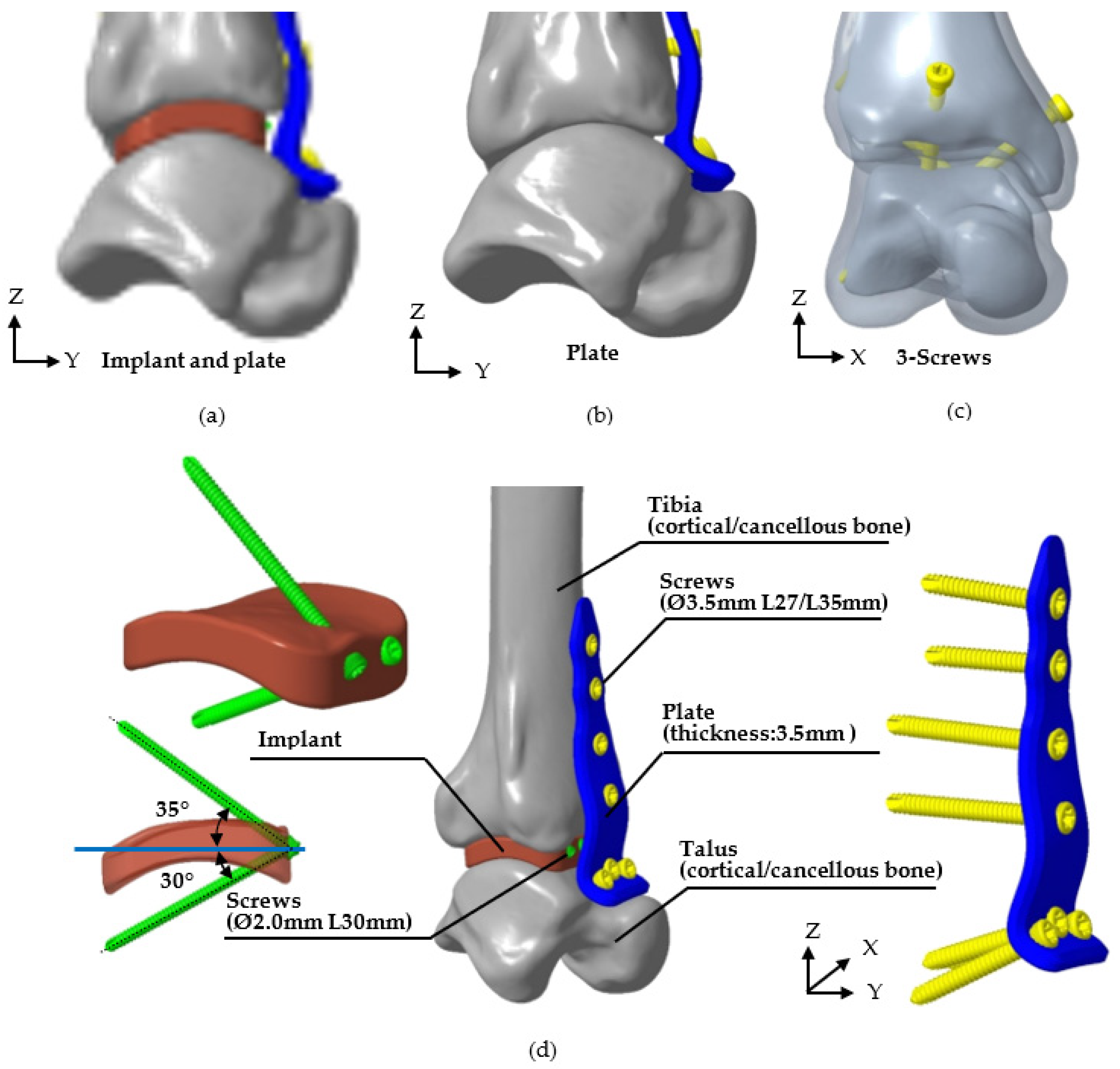 Bioengineering 12 00705 g004