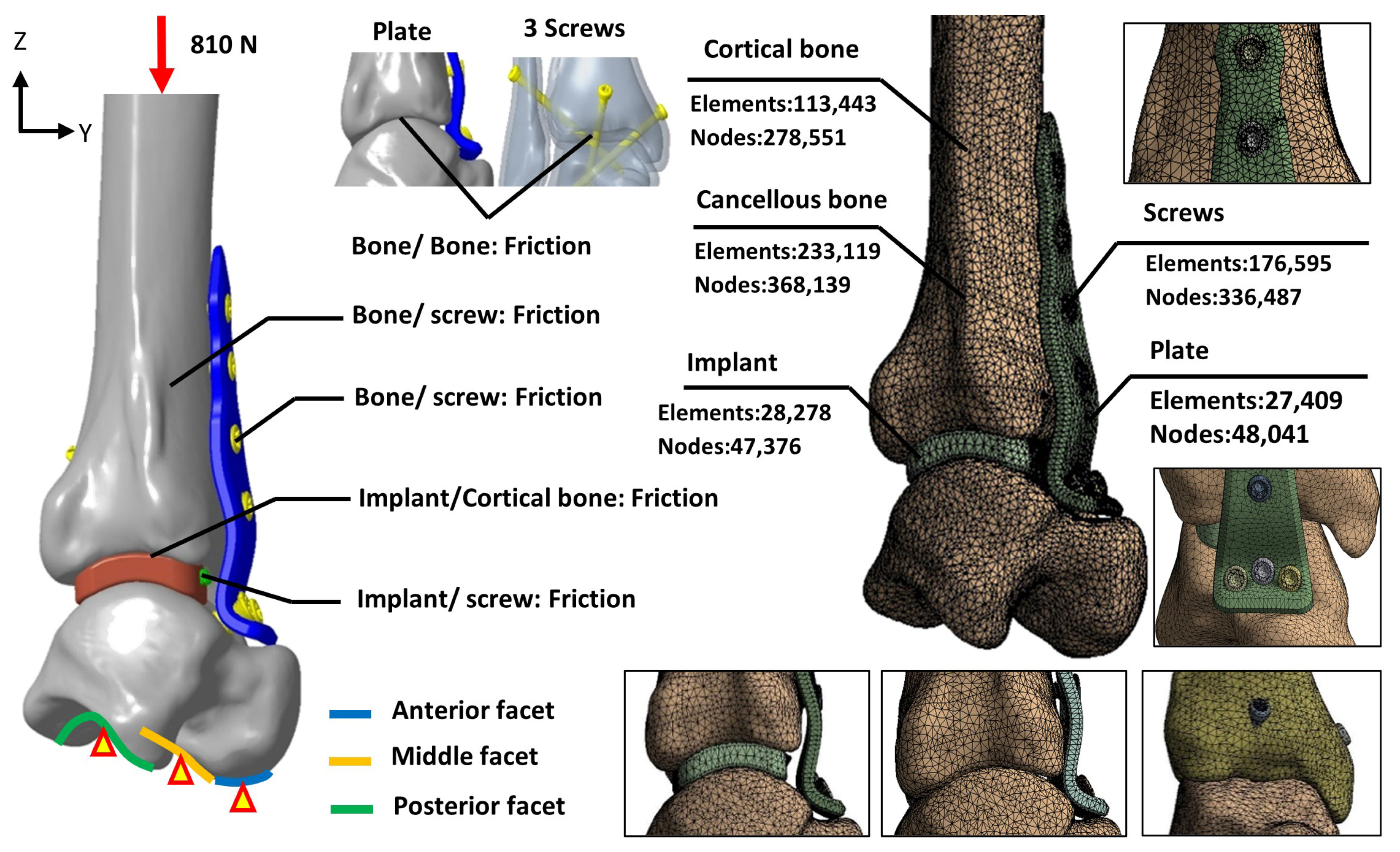 Bioengineering 12 00705 g005