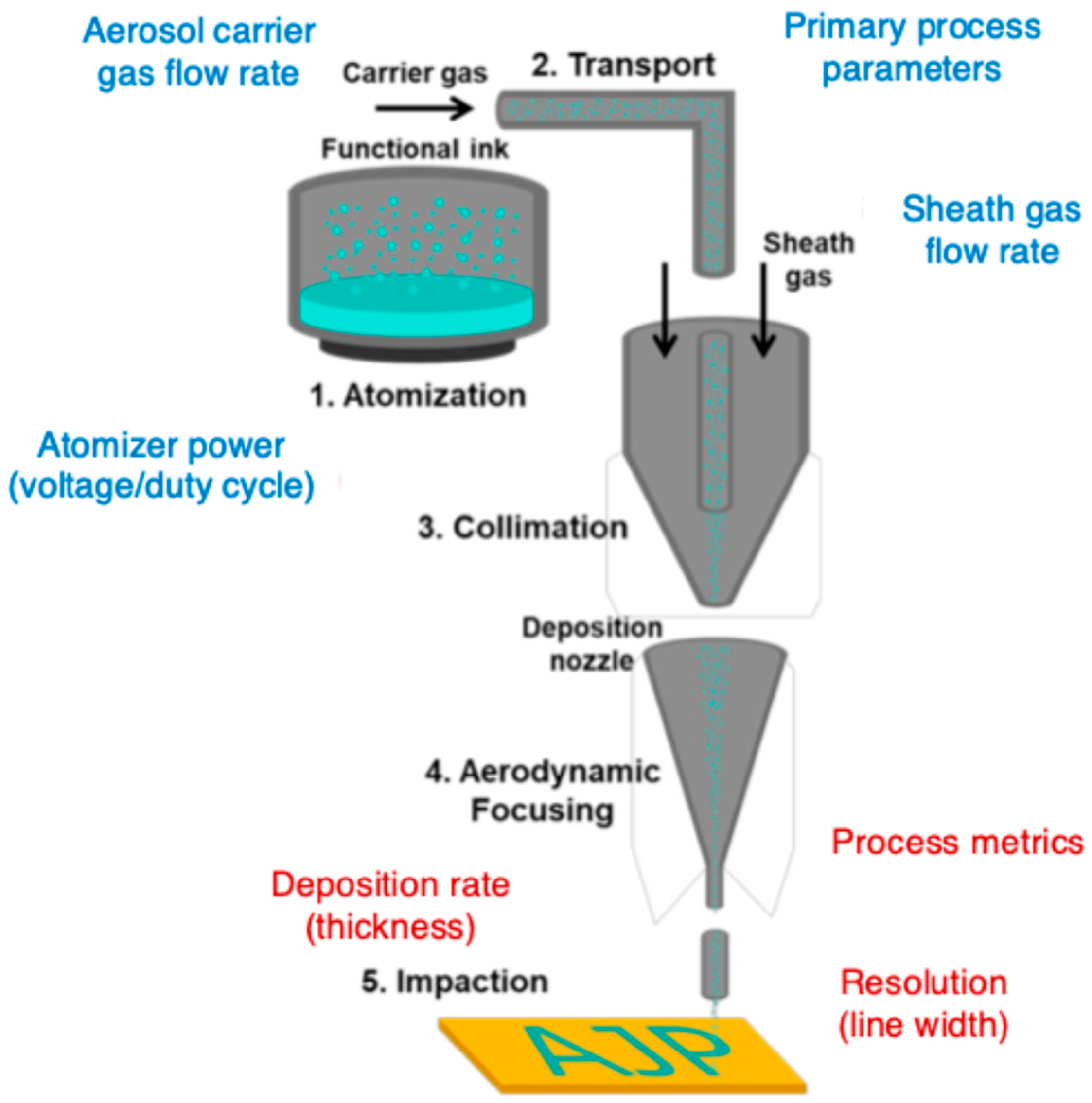 Bioengineering 12 00707 g002