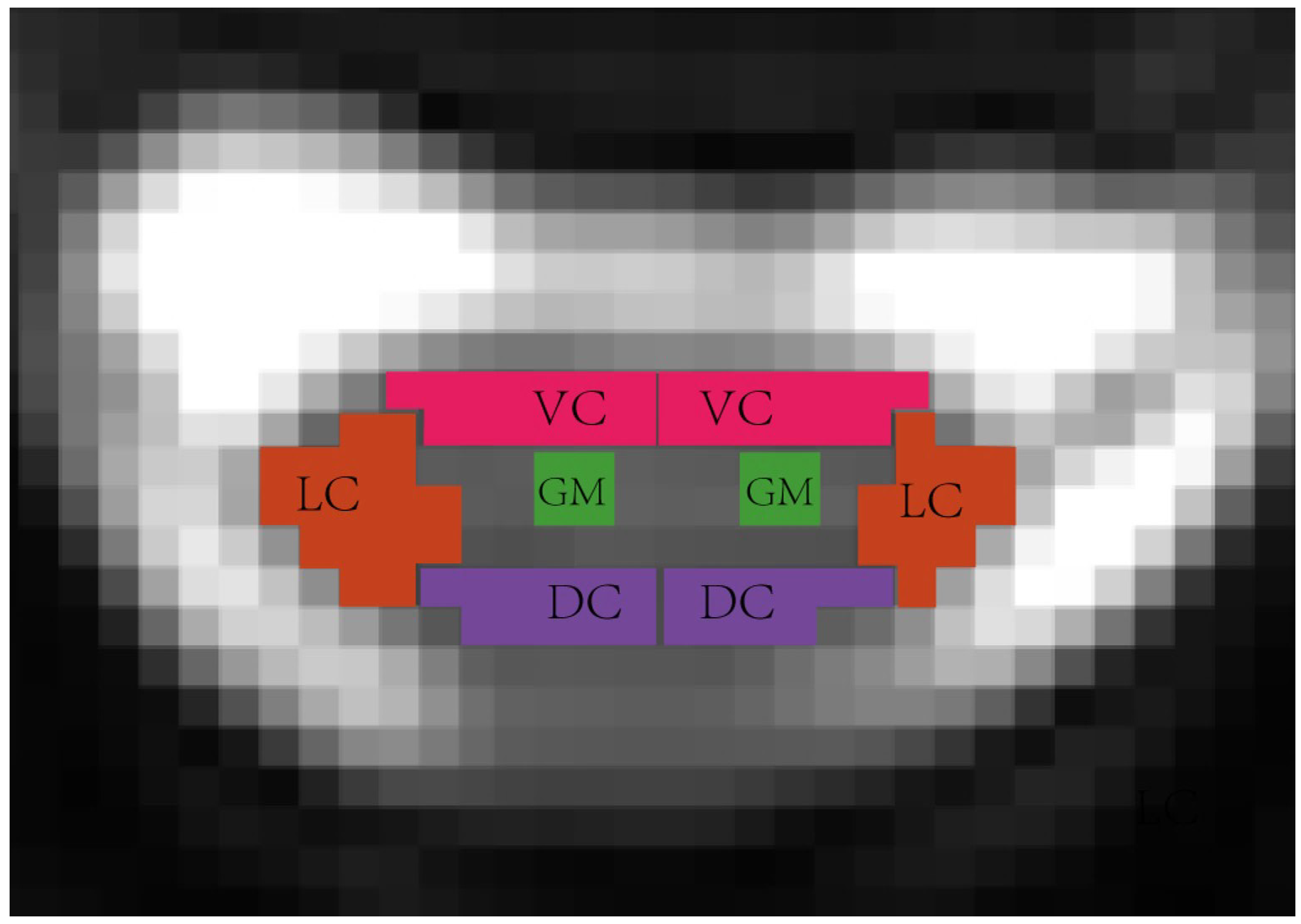 Bioengineering 12 00709 g001