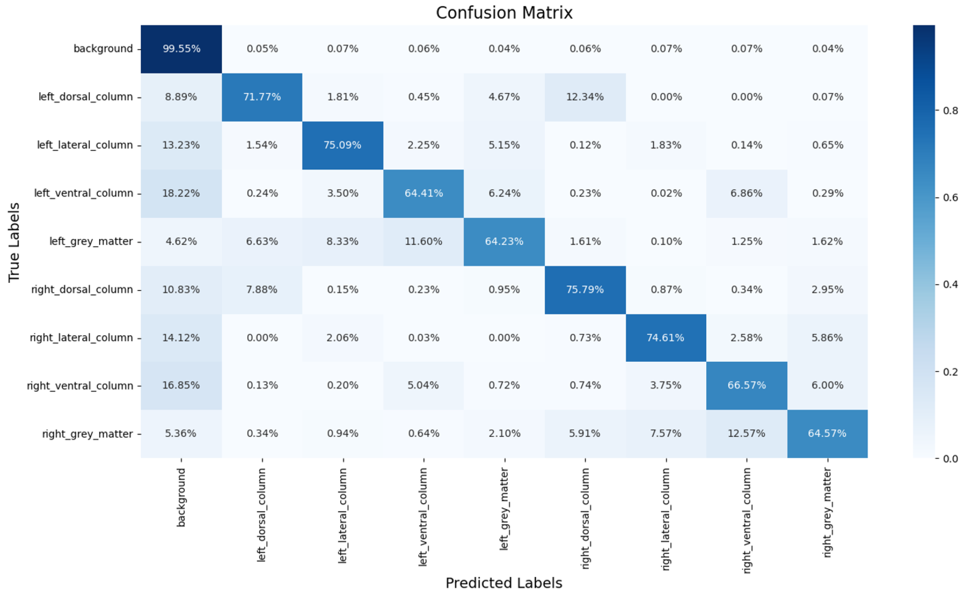 Bioengineering 12 00709 g007