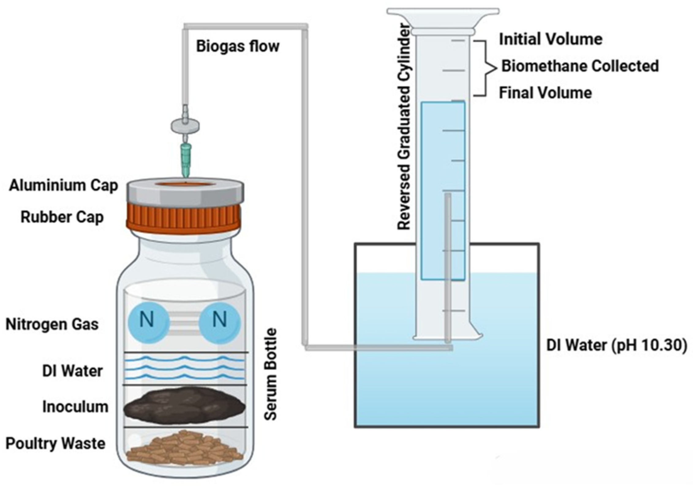 Bioengineering 12 00712 g001