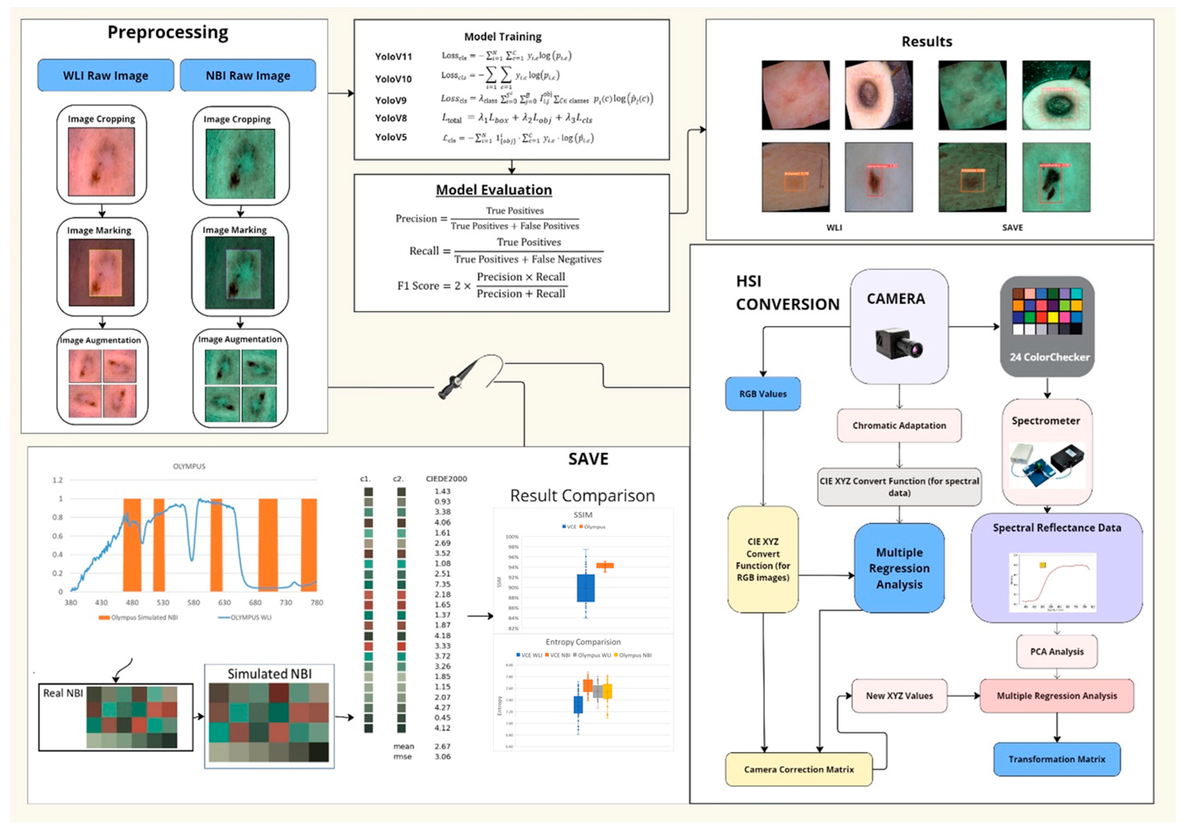 Bioengineering 12 00714 g001