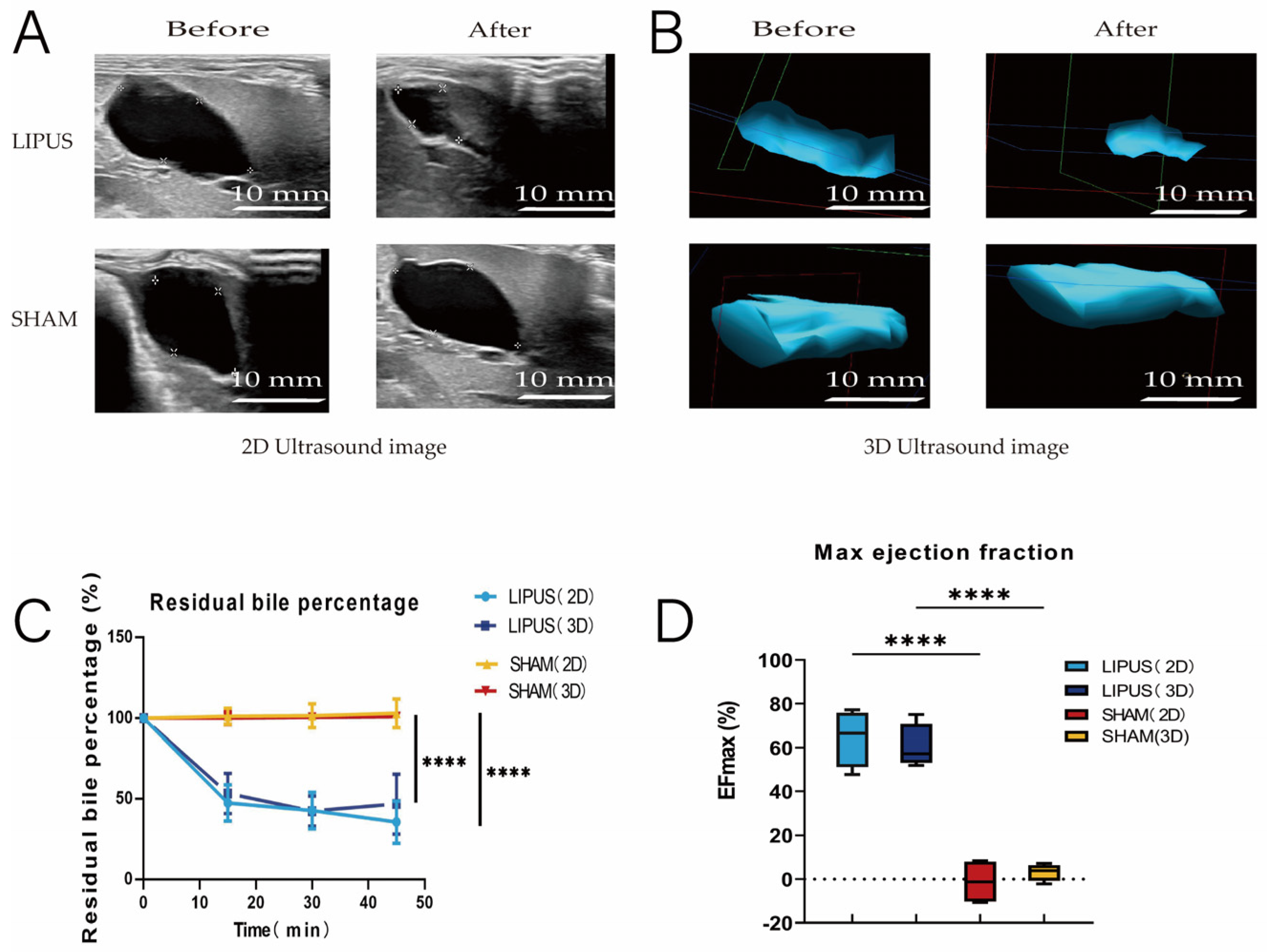 Bioengineering 12 00716 g002
