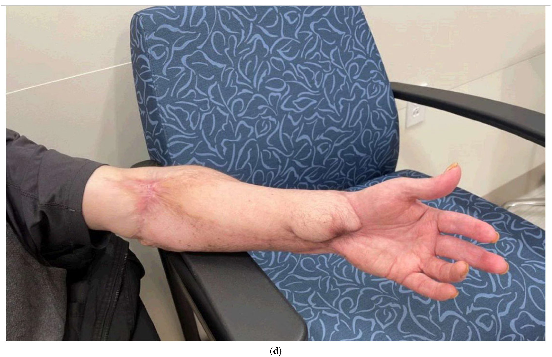 Bioengineering 12 00718 g002c