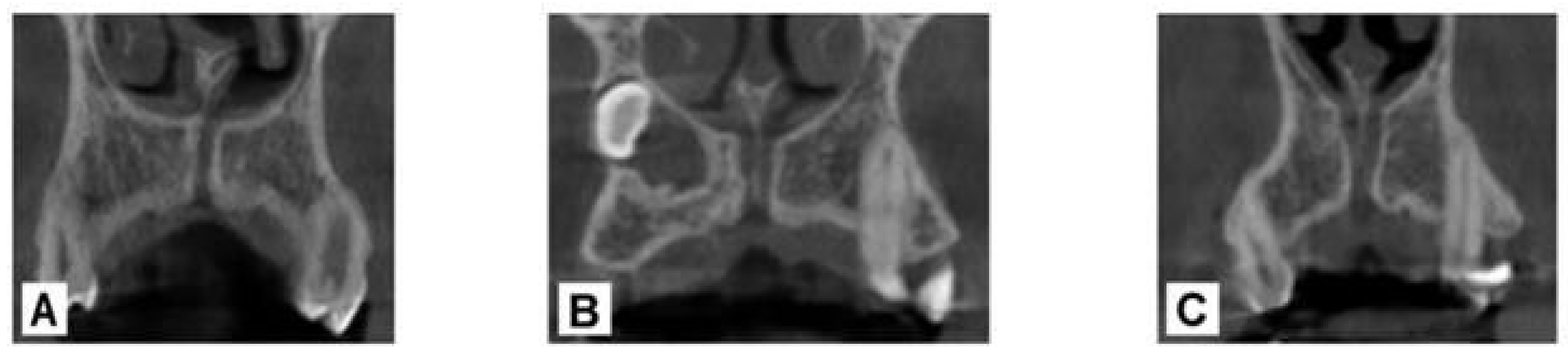 Bioengineering 12 00719 g001