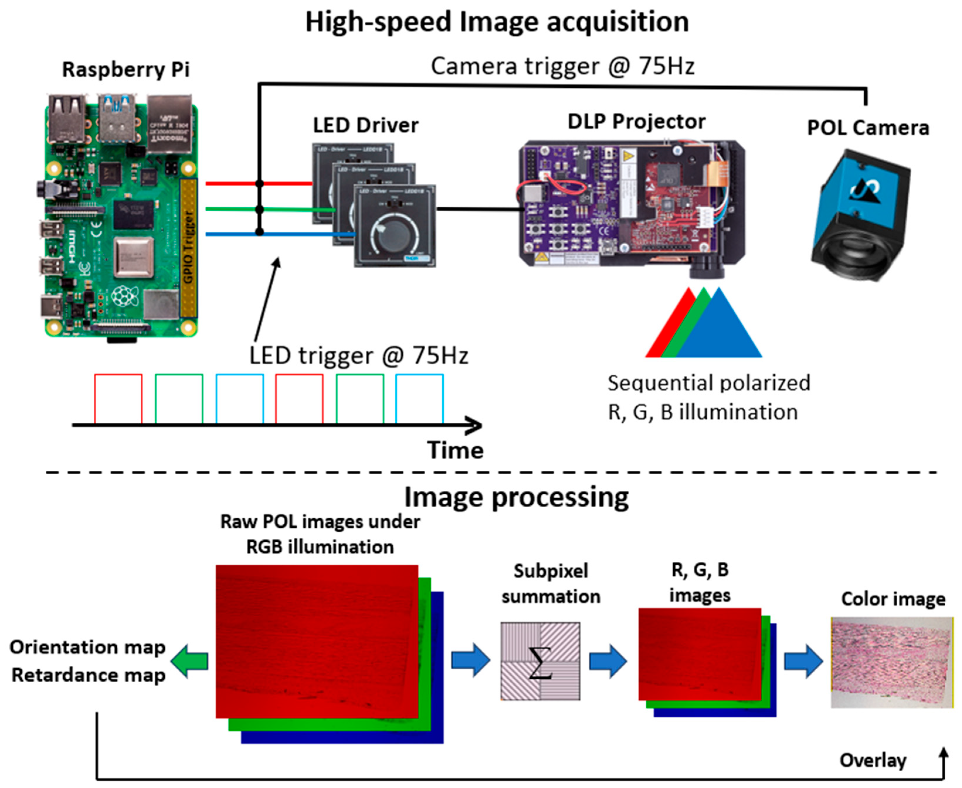 Bioengineering 12 00720 g001