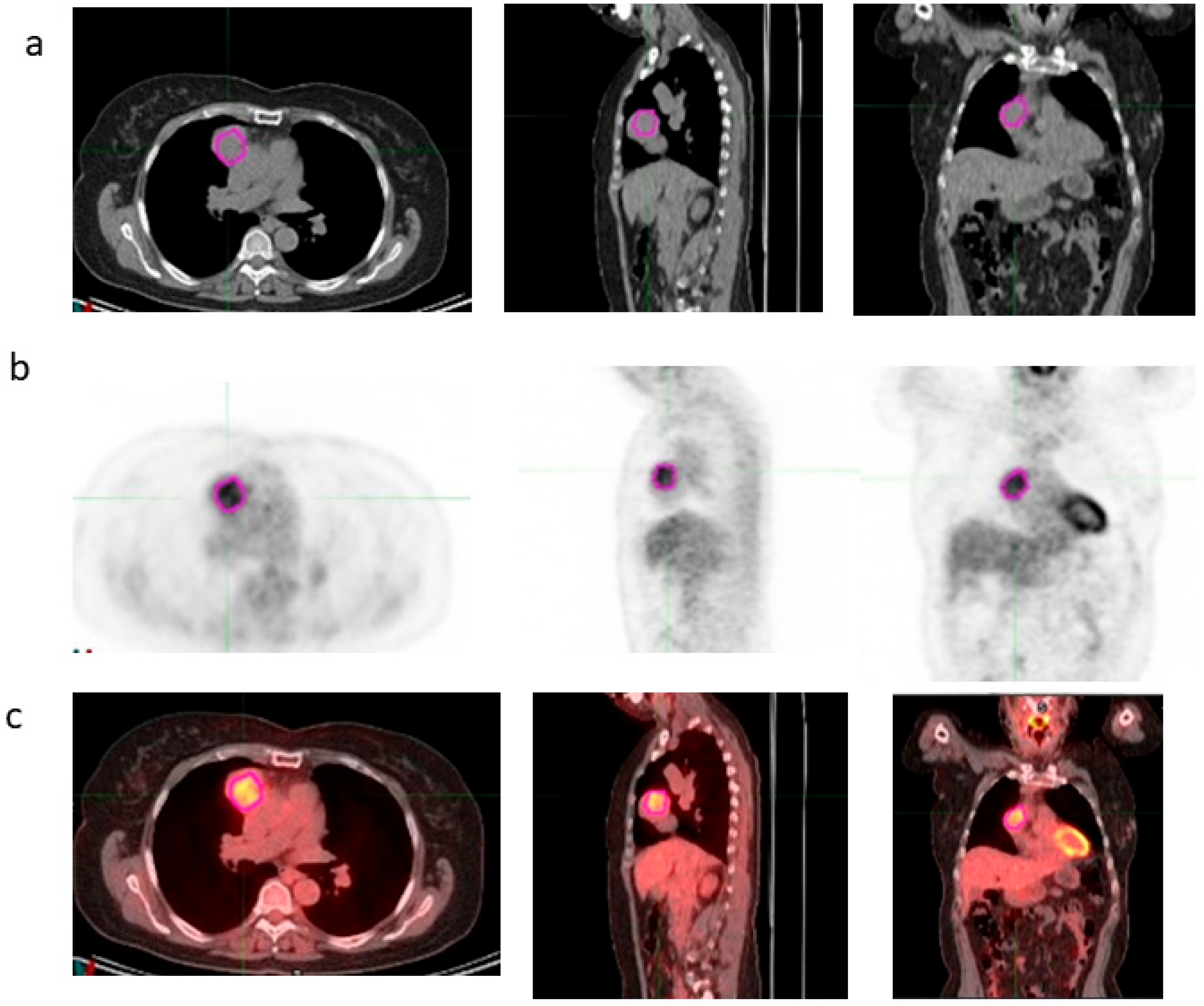 Bioengineering 12 00721 g001