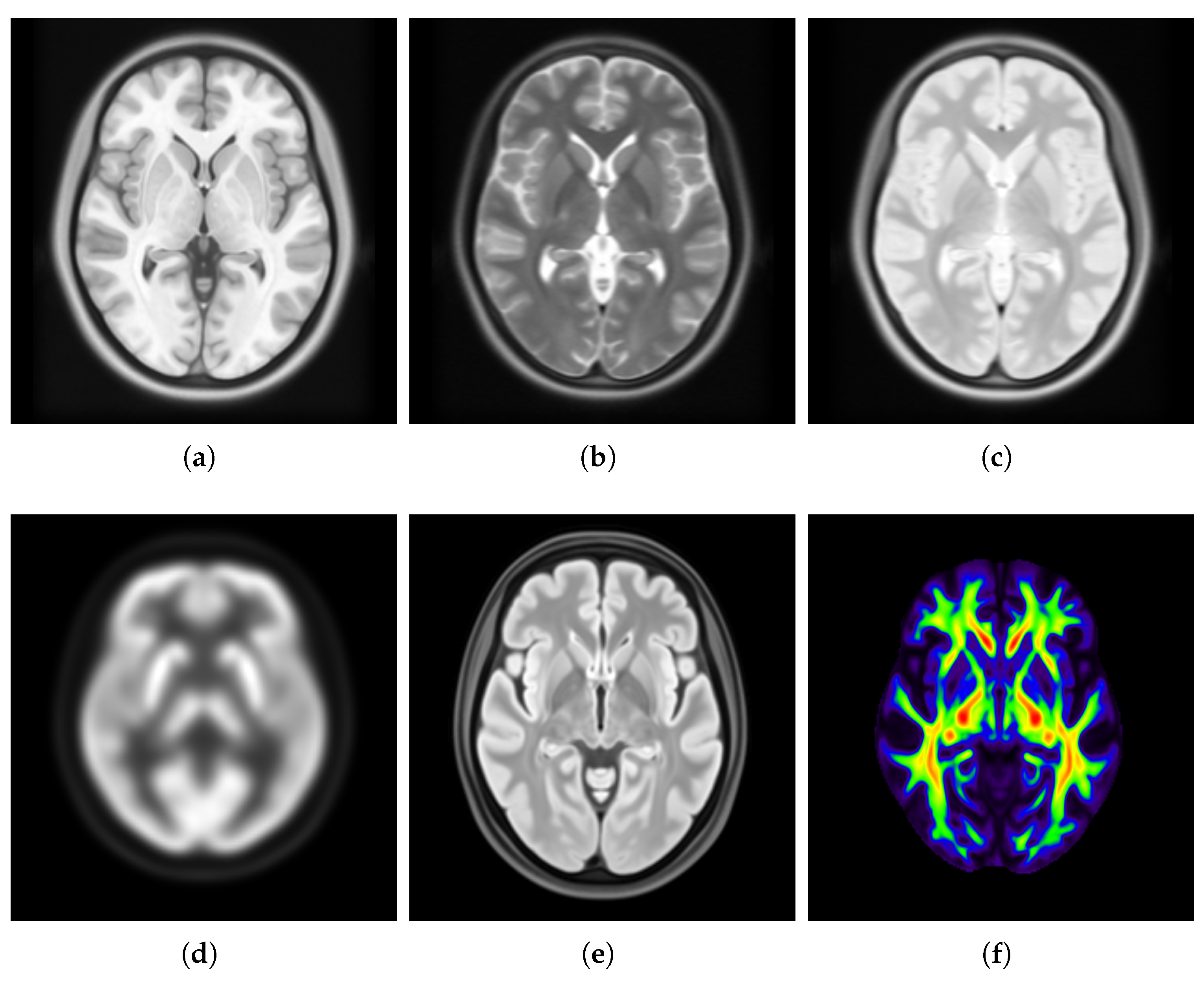 Bioengineering 12 00722 g001 Bioengineering 12 00722 g001