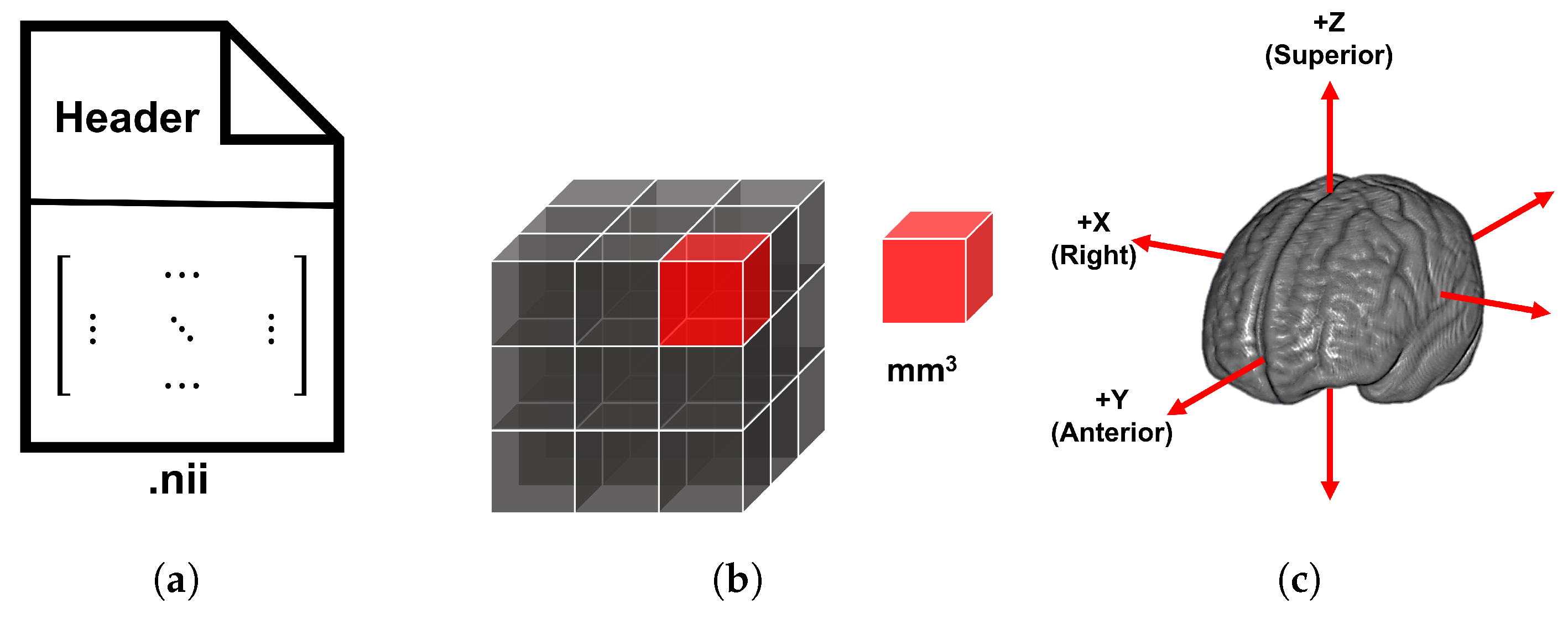 Bioengineering 12 00722 g003 Bioengineering 12 00722 g003