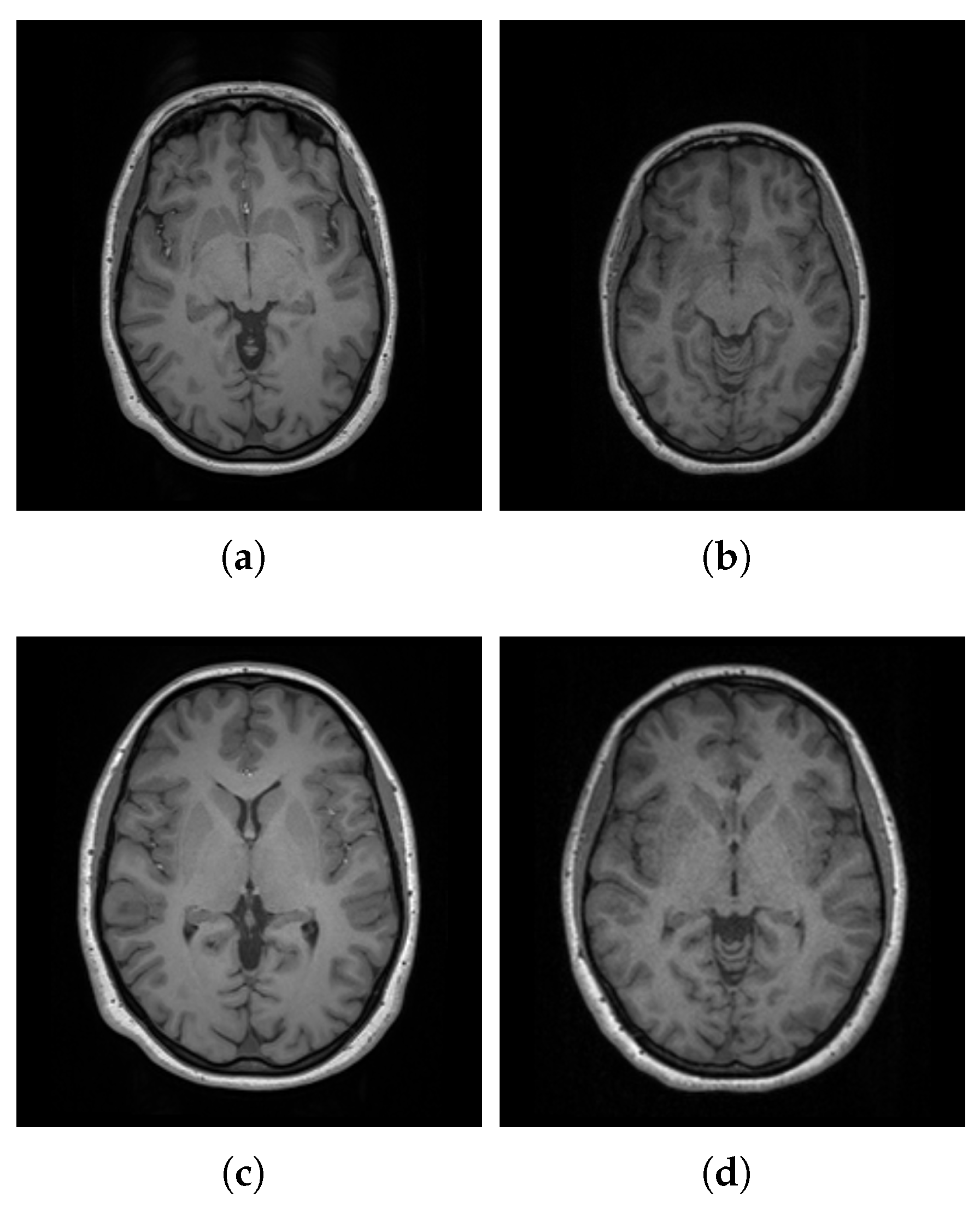 Bioengineering 12 00722 g004 Bioengineering 12 00722 g004