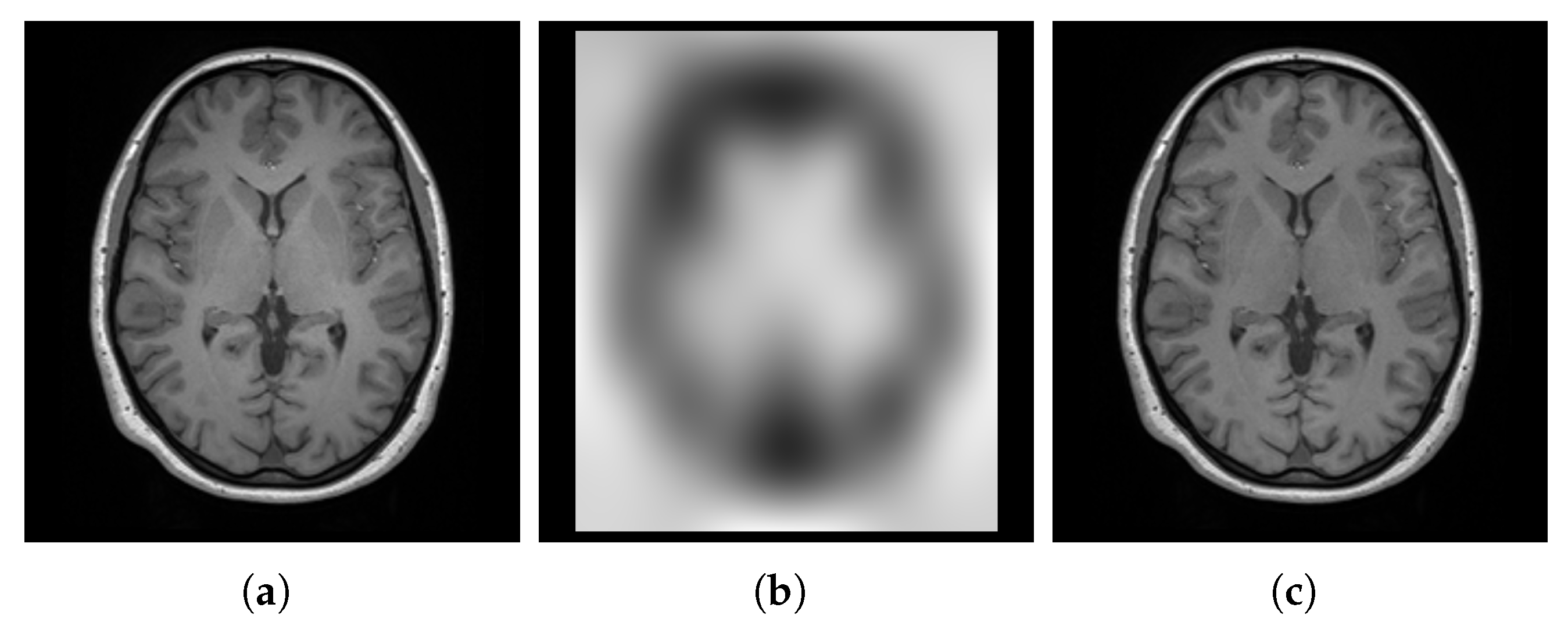 Bioengineering 12 00722 g005 Bioengineering 12 00722 g005